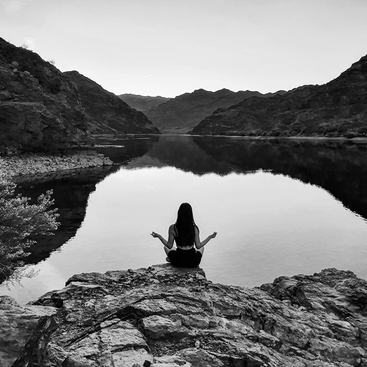 Guided by the Creator.