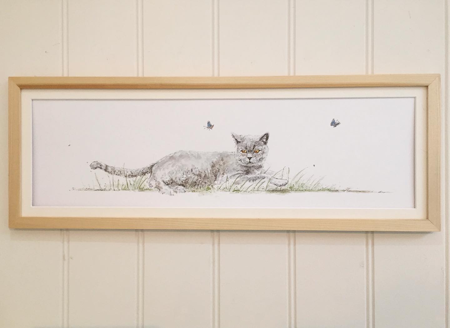 ‘Butterfly Hunting’ Sitting outside spotting butterflies in the sunshine seems a far off reality on this grey January day, but I guess the great thing about the seasons is their predictability to change #rollonspring #chinup #britishblue #catsofinstagram