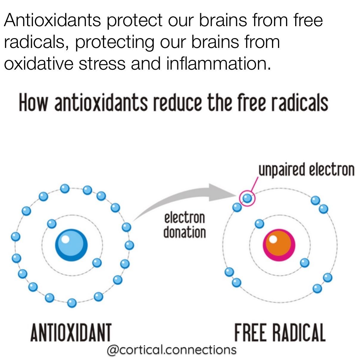 Oxidative stress is the damage made to cells as a result of prolonged oxidation and of the action of free radicals- harmful molecules that are produced in the process.
The brain suffers the most from oxidative stress/inflammation. Free radicals develop and make their way through the brain, causing a storm of oxidative stress and inflammation. The more free radicals your brain contains, the more damage done. We call upon antioxidants to protect our brains from free radicals. Antioxidants are natures way to prevent oxidation.
#happiness#wellness#mentalhealth#health#brainhealth#mindfulness#meditation#breathe#slowdown#thoughtawareness#holistichealth#holistichealing#nlp#neurolinguisticprocessing#cbt#cognitivebehavioraltherapy#healing#advancedtrs#cosevatrs#brainhealth#detoxification#detox#detoxforbrain#braindetox#breathingtechniques#meditation#adhd#add#dementia#heavymetaltoxicity