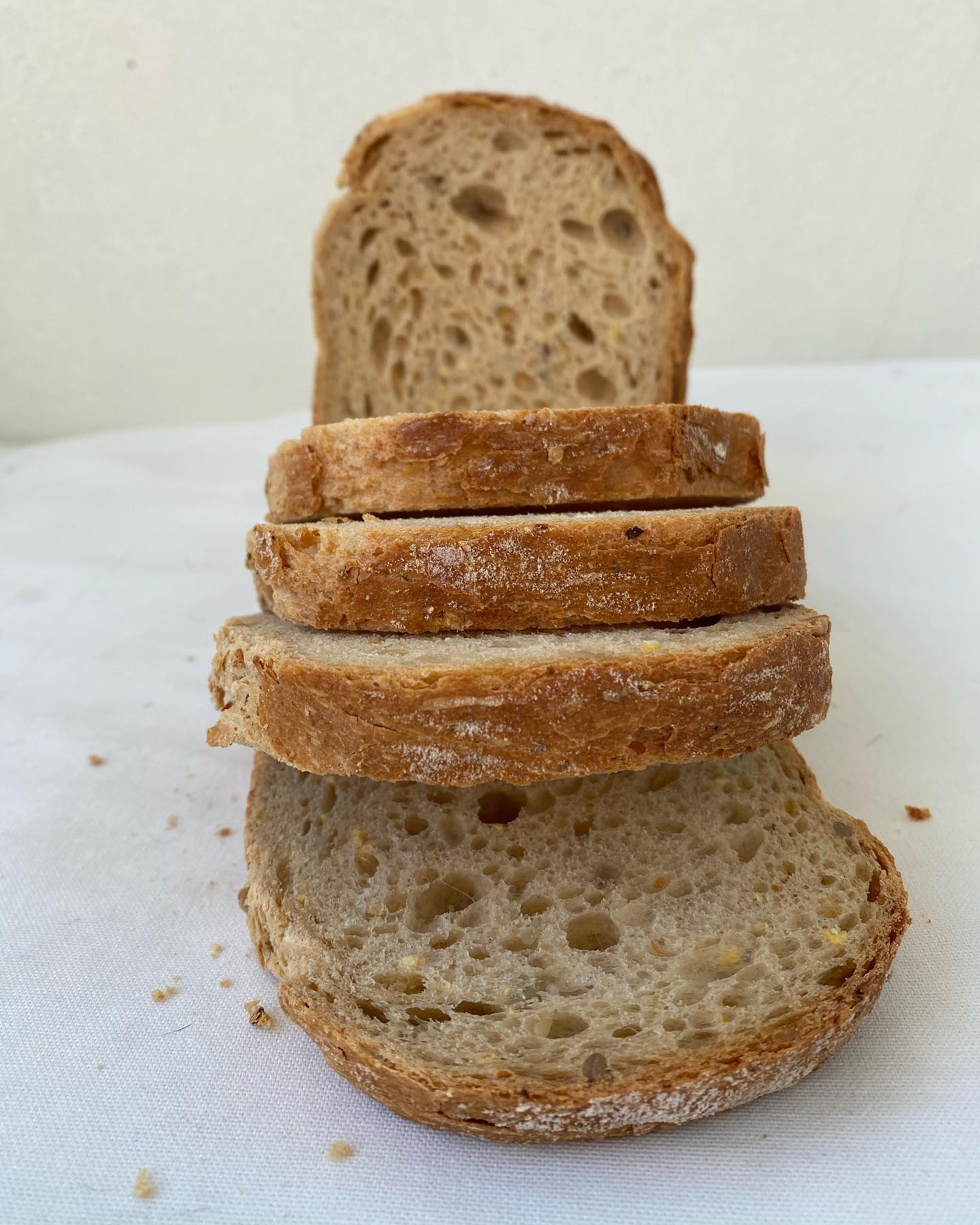 Pa de Motlle d’espelta, Saludable...
Gustós🤎🌾
.
.
.
Pan de molde de espelta, Saludable...
Gustoso 🤎🌾
#paartesà #panartesano #pandemolde #espelta #farinaespelta #fornartesà #fornsantjosep