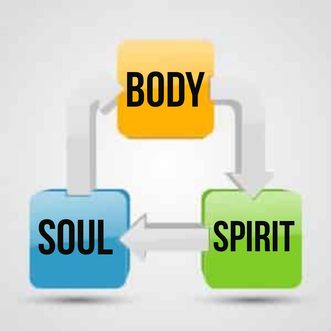 Make sure your whole body is tuned up: Spirit, Soul and Body. You can't just work on one and be complete. Everything has to balance and that means working on ALL three parts of you daily.
.
#mentoring #mentor #mentorship #mondaymotivation #success #lifestyle #change #healthy #healthyliving