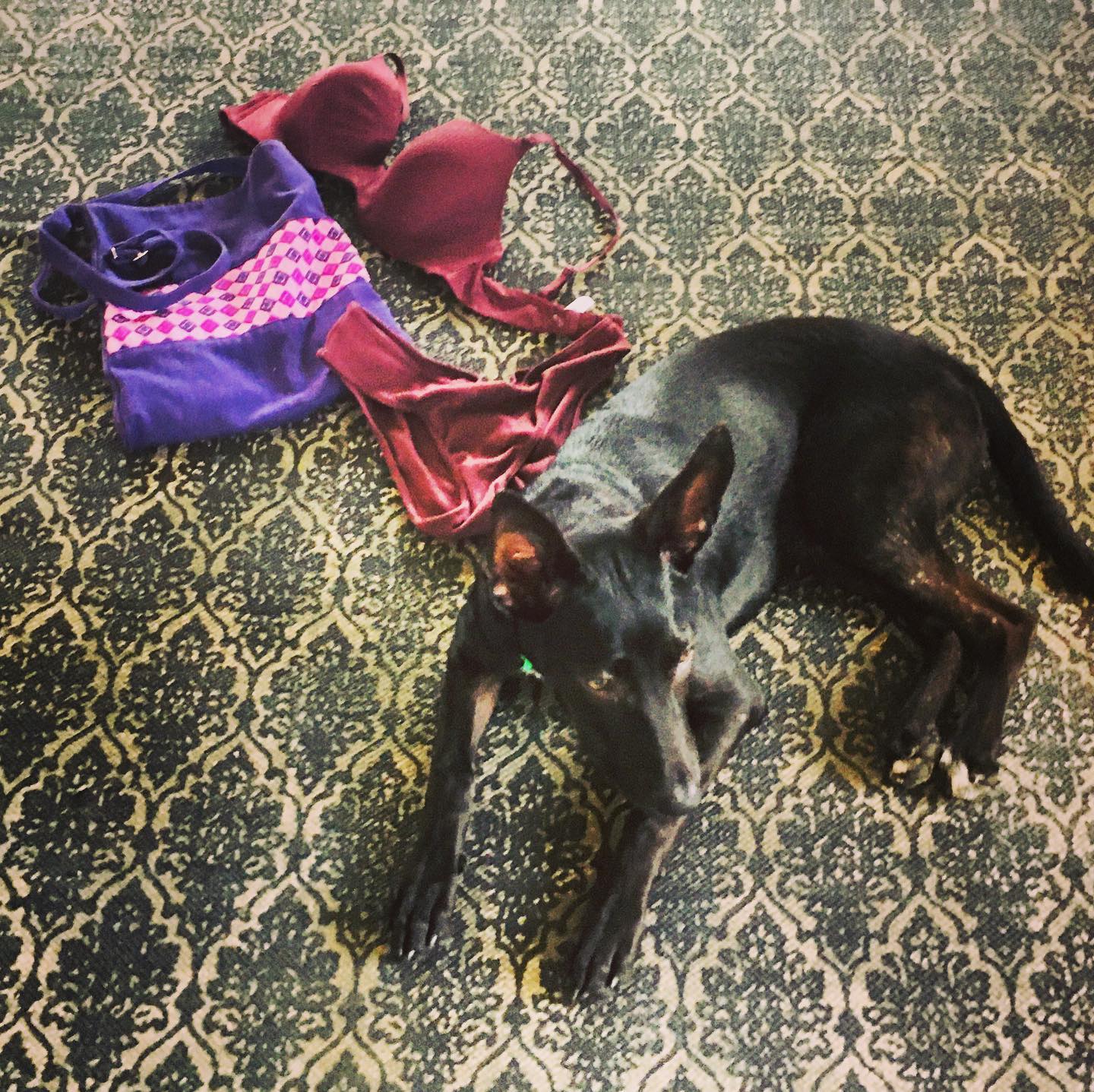 Twiggy’s first modelling gig ... #elegantemu #handmade #cristinaforfairtrade #SayItFair #madeinguatemala #slowfashion #ethicaldesigner #ethicalbrand #ethicalfashion