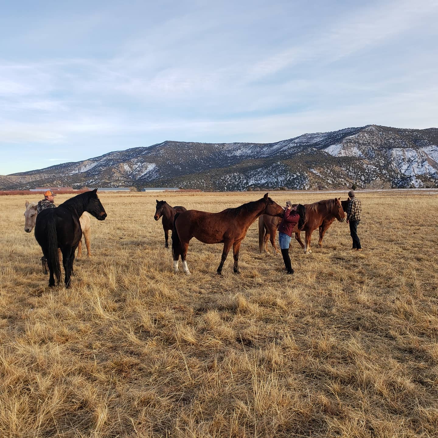 ** Now Booking ** Horses are off enjoying their winter vacation... Are you planning your summer trip to Pagosa? 2021 calendar is now open for reservations so book your dates early. Looking forward to an amazing summer, hope to see you in a few months! 🐴🌲🌷🌹#visitpagosa #horsebackriding #mountains