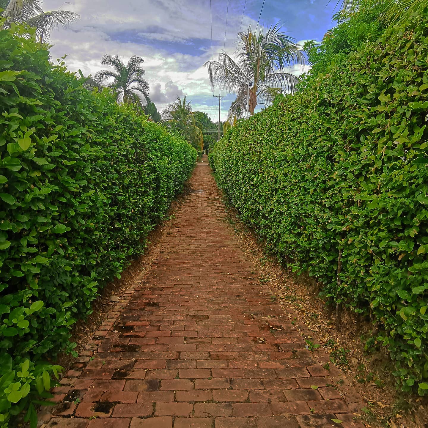 Ven y disfruta de estos hermosos senderos del #condominioelruby, la casa muner esta habilitada para 18 personas máximo y pronto habilitaremos la cabaña muner, para 6 personas.
www.muner.com.co/casamuner
.
Casa con piscina para alquilar en melgar
.
#muner #tolima #casamuner #casaparaalquilar #casaparaalquilarenmelgar #melgar #casasenmelgar #lagomelgar #condominioelruby #elrubycountryclub #elrubyMelgar #vacaciones #vacacionesenfamilia