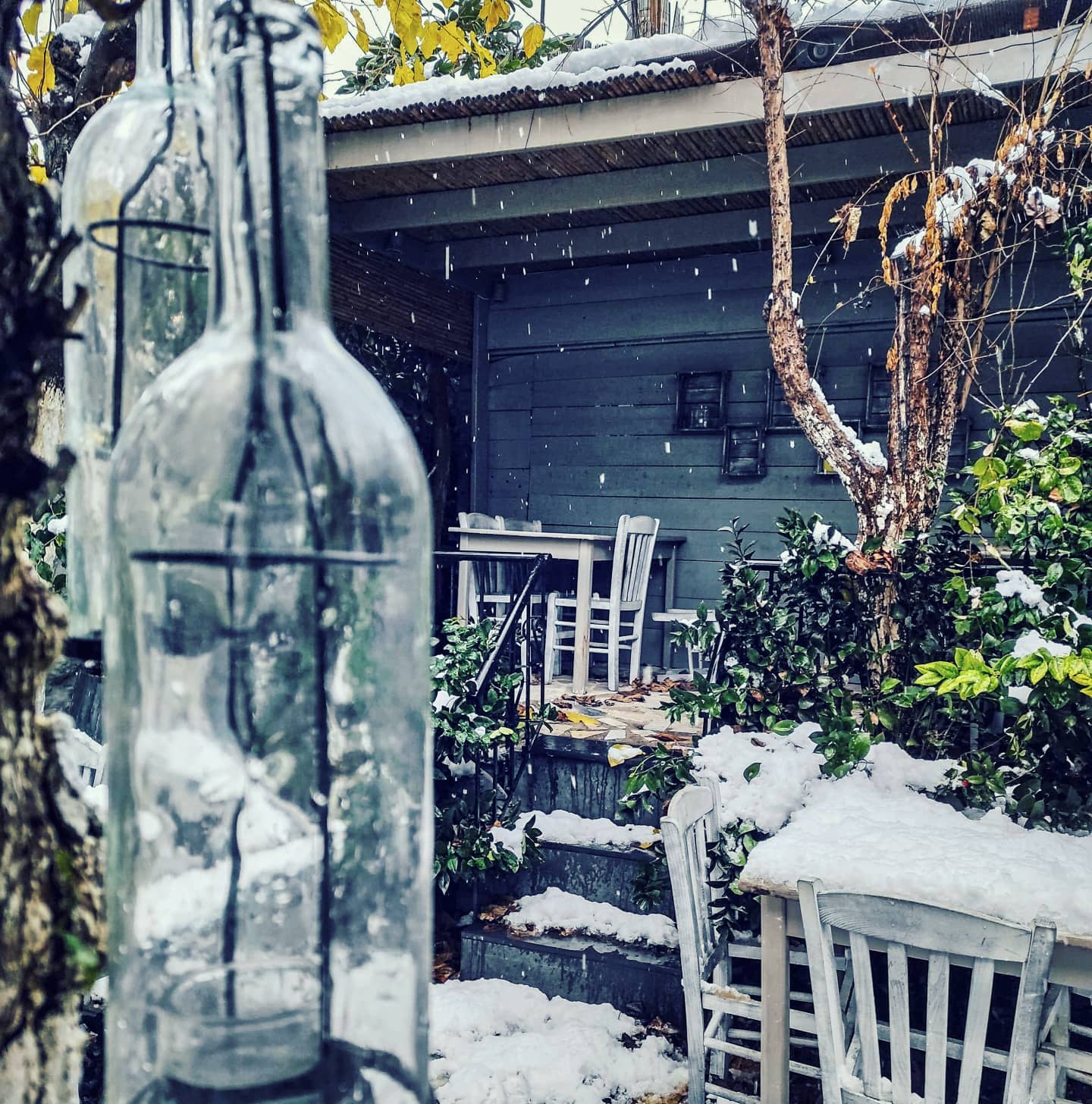 #kouvelos #koukaki #athens #winter #secretgarden #kouvelosfoods #greekcuisine #seeyousoon #staysafe