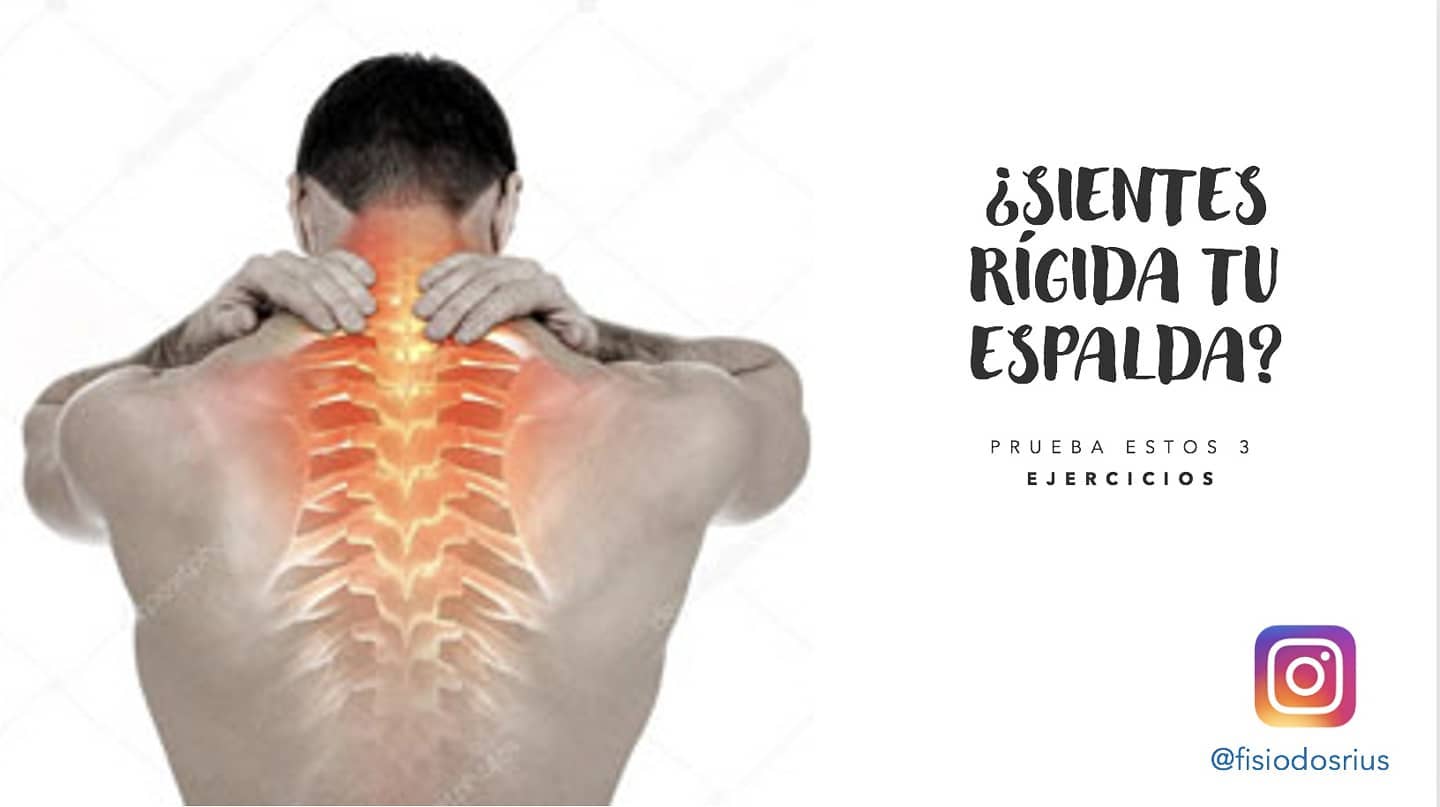 ¿Quién no se ha quedado "clavado" alguna vez de la espalda?
Si como yo tu sufres o sueles sufrir este tipo de problemas y no sabes qué hacer, te recomiendo que pruebes estos 3 ejercicios enfocados a dar movilidad a esa zona. ¡De seguro que te ayudarán!
¿En que te ayudará hacer esto?
✅ Mejorar la movilidad de la zona torácica
✅ Disminuir el dolor
✅ Prevenir episodios muy repetitivos de este problema
📝 Te recomiendo realizarlo de forma diaria si sufres actualmente este problema y mantenerlo 1 o 2 veces por semana una vez ya lo hayas solucionado. Con hacer 2 a 3 series de unas 15 repeticiones de cada uno será suficiente.
#fisioterapia #fisioterapiadeportiva #dolor #rigidez #rigidezmuscular #columnavertebral #columnadorsal #dorsales #vertebra #movimiento #movilidad #estiramientos #ejercicio #recuperacion #rehabilitación