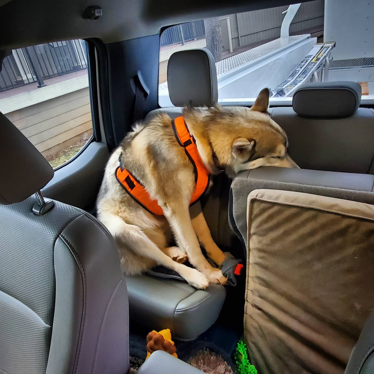 TGIF... It's been a long week...