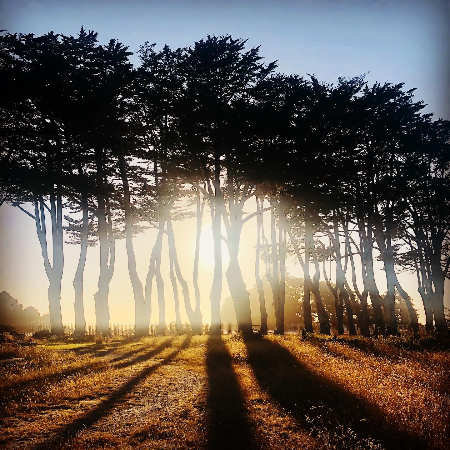 What does your shadow say about you? What does it have to show you?
I’ve been thinking about shadows a lot lately - in all senses of the word. This is what I’ve noticed:
🌓
OUR SHADOW depicts our current form in a distinct moment in time.
OUR SHADOW exists due to the contrast of light, and how the light reaches us. We can sometimes choose the shape of the shadow, but not how far it will reach.
OUR SHADOW may or may not become apparent to us, depending on where we are focused.
Neither OUR SHADOW nor the light illuminating us equal the sum total of our being.
🌓
How is your shadow communicating with you?
💡
How does this shift with the seasons of your year, and the seasons of your life?
Would love to hear your insight around shadows below❣️👇
📍Photo taken from Pacific Coast Highway – Central Pomo Territory
#presence #selfawareness #moments #mindfulness #shadows #seasons #seasonsoflife #selfcoaching #noticing #whatdoyousee #selfleadership
