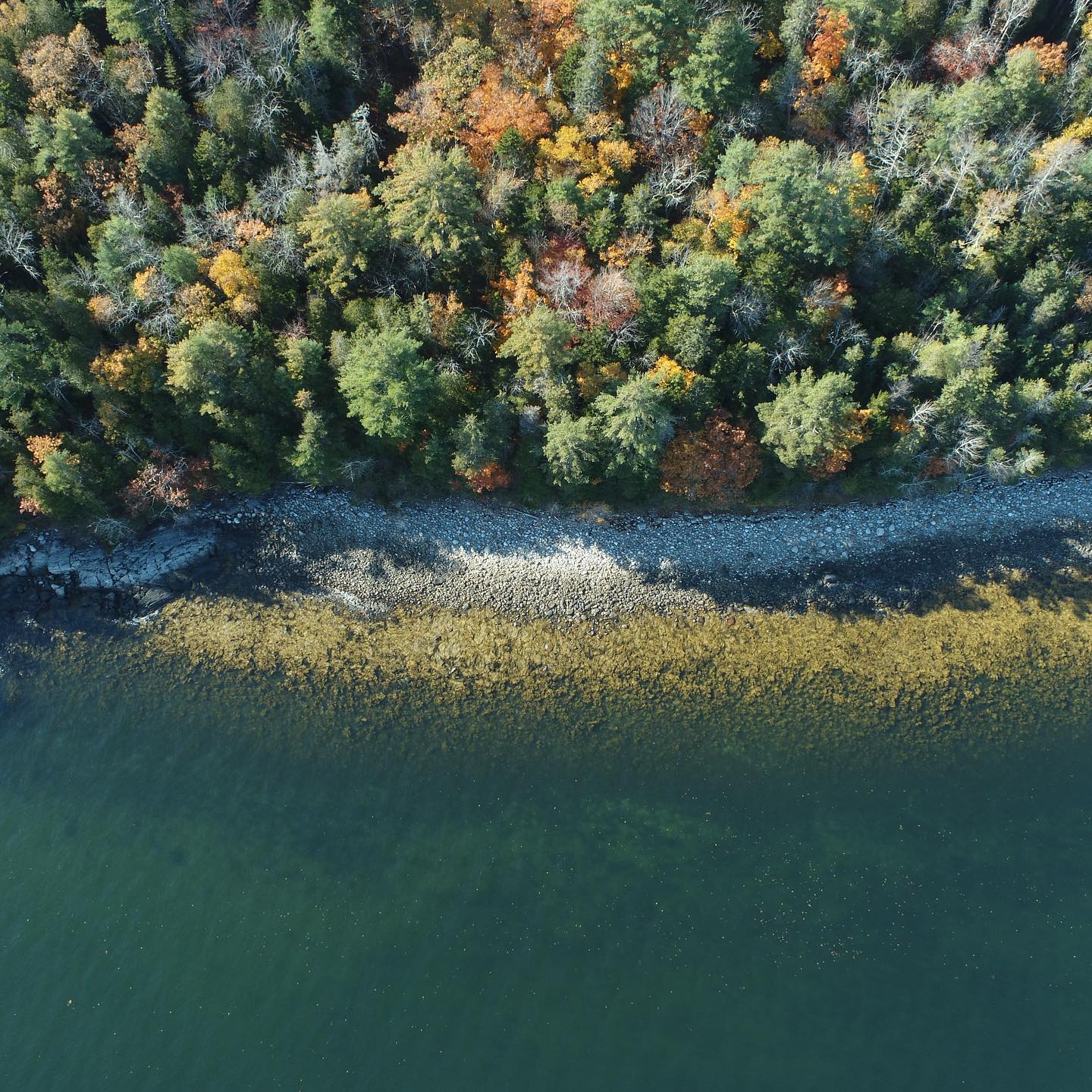 Maine shoreline looking fine🌲
#vacationland #maine #maineigers #rockport #seashore #sea #atlantic #ocean #dji #rockbeach #greensea #seaglass #mermaid #mainecoast #boldcoast #evergreen #pinetreestate #dronephotography #dronephoto #seascape #landscape #mainelife #dronepilot #certified #fly