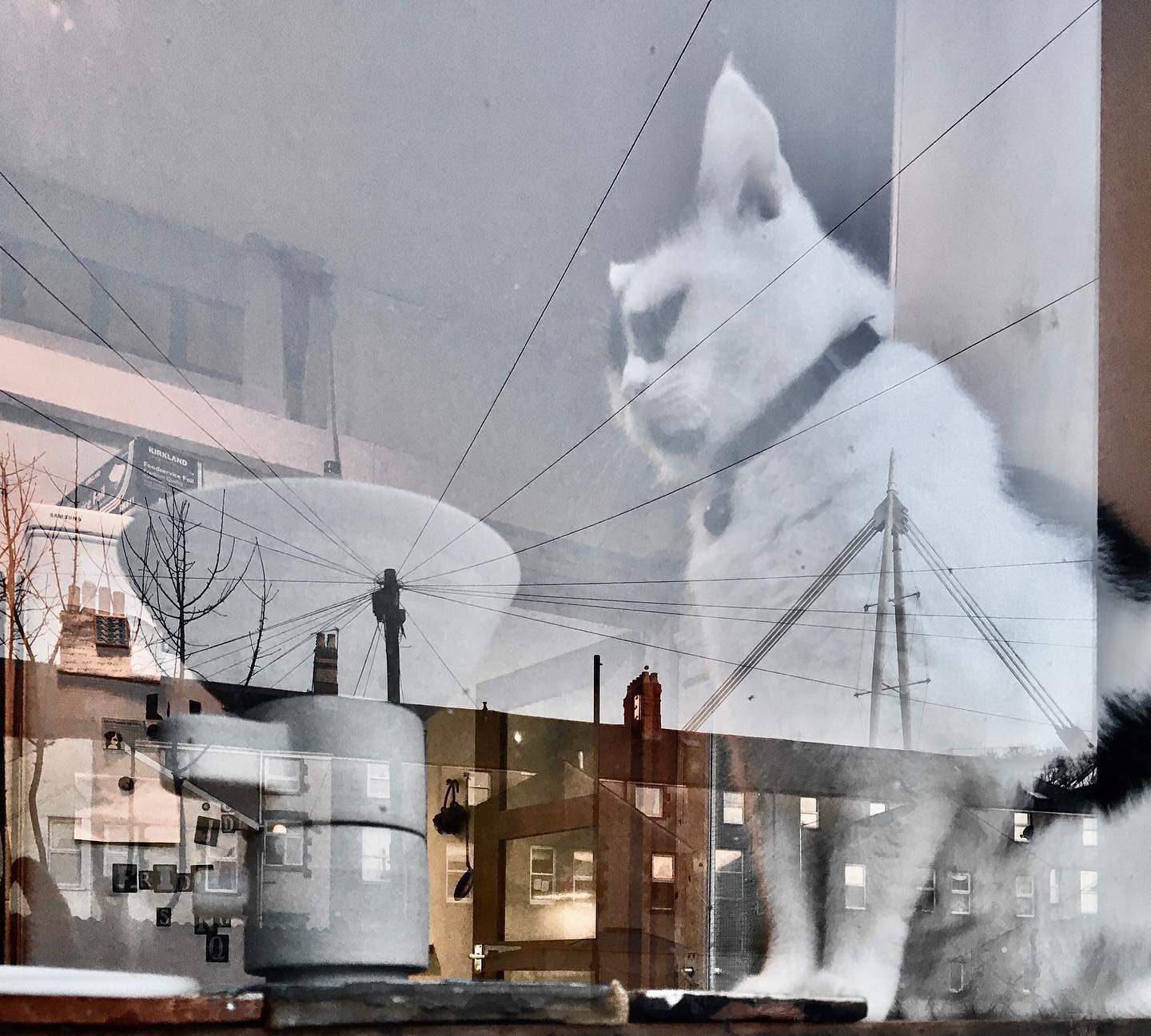 Needed to repost this image...it just wasn’t in the right place😂Sunday evening light. Espresso Cup Tower. Evil cat and architecture. #architecture #cardiffculture #watertower #contemporaryceramic #espressocup modernism #brutalistarchitecture #towers #foodie #foodstyling #photography #tableware #share #contemporaryart #designermakeruk #ceramicsofInstagram #uniquehomedecor #functionalsculpture
#handmade #kitchenstyling #brutalceramics #handmadeinwale #evilcatsofinstagram