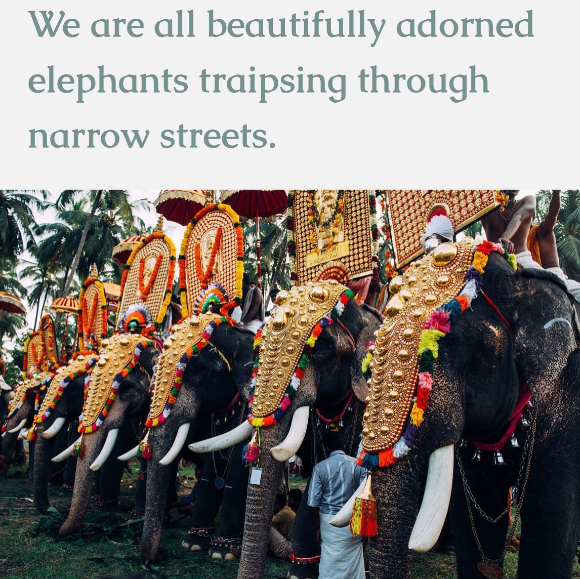 ✨I N T E N T I O N✨
I love the story of the beautifully adorned elephants walking in the big celebrations in India where their trunks would wreck all the many vendors, grabbing anything tasty and sparkly within their reach along the narrow streets. Once their trainers gave them bamboo shoots to hold with their trunks, the vendors were left undisturbed as the elephants had something to focus on instead of grasping at every outside distraction.
This story can be likened to our own experiences, as we may be tempted to grab at any shiny thing that we see because we are without intention. When we become distracted from our own vision, we are essentially robbing ourselves of our own authentic existence. We cling to the goals and accomplishments of others. When we don't know what we want or how to express it, we may try to live through others' expectations. Instead, if we grab onto that bamboo shoot of purpose and intention while walking through a life of sparkly distractions, we tap into a life of our own potential.
So, how can we design a life of intention that leads us back to our truest selves?
Visit my website linked in my bio to check out my latest blog post where I share three ways to add more intention into your life. I even share my friend and teacher @heymargaretjames wisdom when it comes to mindful eating. #intention #mindfuleating #eatingwithintention #practice #practicewithintention #yogawithintention #mindfulmovement #dailyhabits #dailyintention