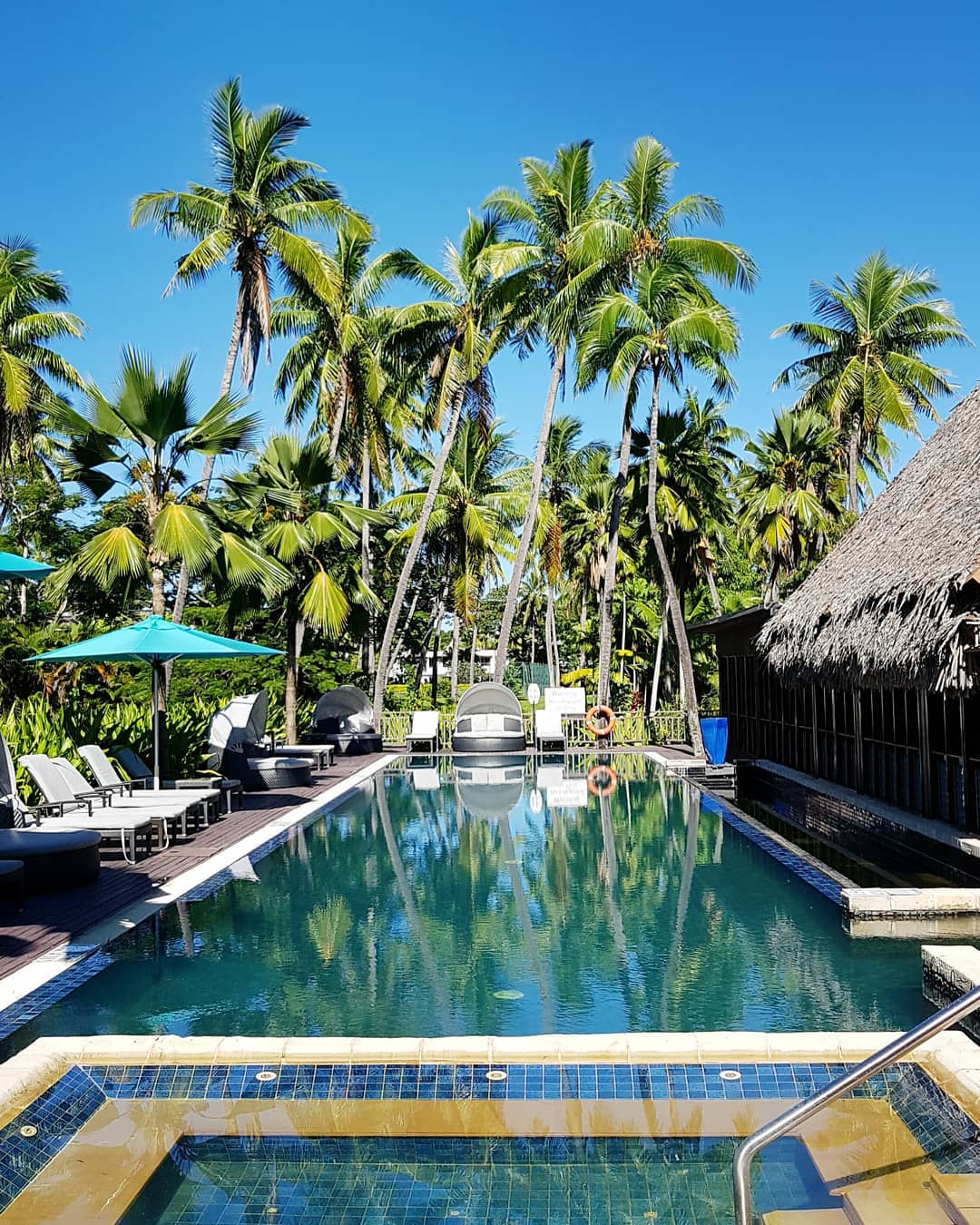 Our view in the mornings for our Half Day Wellness Retreats.
.
Peaceful, picturesque and has an ideal covered deck/bure for practicing yoga!
.
Our next retreat tomorrow is fully booked! But there are more dates available month🙏