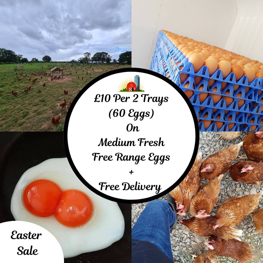 Great Value This Easter With Mother Hen Eggs!
All of our eggs are 100% free range and 100% farm fresh meaning they have a best before date of 4 weeks! 🥚🐔
You can order our eggs on the website at www.motherheneggs.com or you can message us on Facebook💬🥚
We welcome all new and regular customers to freely use our website, on top of this our website is secure with encryption for your payment details. You are still more than welcome to message us your order if that suits you better 🥚🧡
If you'd like to order our delicious eggs simply message our Facebook page with the details below :-
.Quantity Of Eggs
.Your Address
.Method Of Payment
We'll send you a confirmation message and book you in for delivery simple as 1,2,3. We do have set delivery days for areas🥚🚗
We believe reducing the time between farm to fork is key. Mother Hen Eggs are delivered within a few days of them being laid, making sure you exclusively receive fresh farm free range eggs 🥚 🍳
Even if they're medium sized eggs they're still bursting with flavour and taste, bringing a ray of sunshine to any dish that's being served. The delicious taste will not disappoint 🧡🍳
Once it's gone, it's gone 👀🍳
*This eggclusive offer is on 2 trays medium sized eggs and starts 25/03/21 and ends on the 08/04/21*
#easter #eastersale #cardiff #bridgend #newport #tastyeggs #farmfresh #eggsforbreakfast #eggsofinstagram #freedelivery #farmtofolk #freerangeeggs #delivery #sale #deliciousfood #yolk #goldenyolk