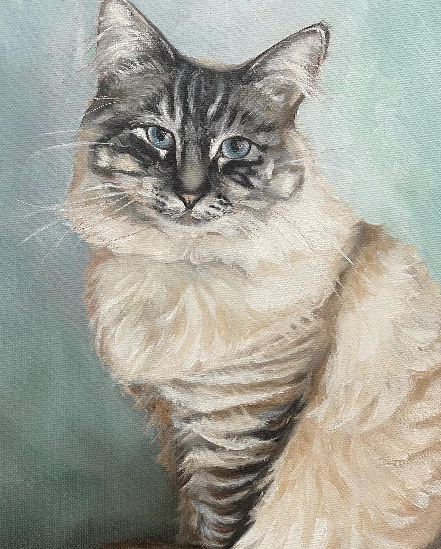 “Midge” She is such a little lady. Oil on canvas. 11x14” #catpainting #catoilpainting #kittygram #kittykitty #oilpainting #oiloncanvas #oilpainter #oilpaintingoncanvas