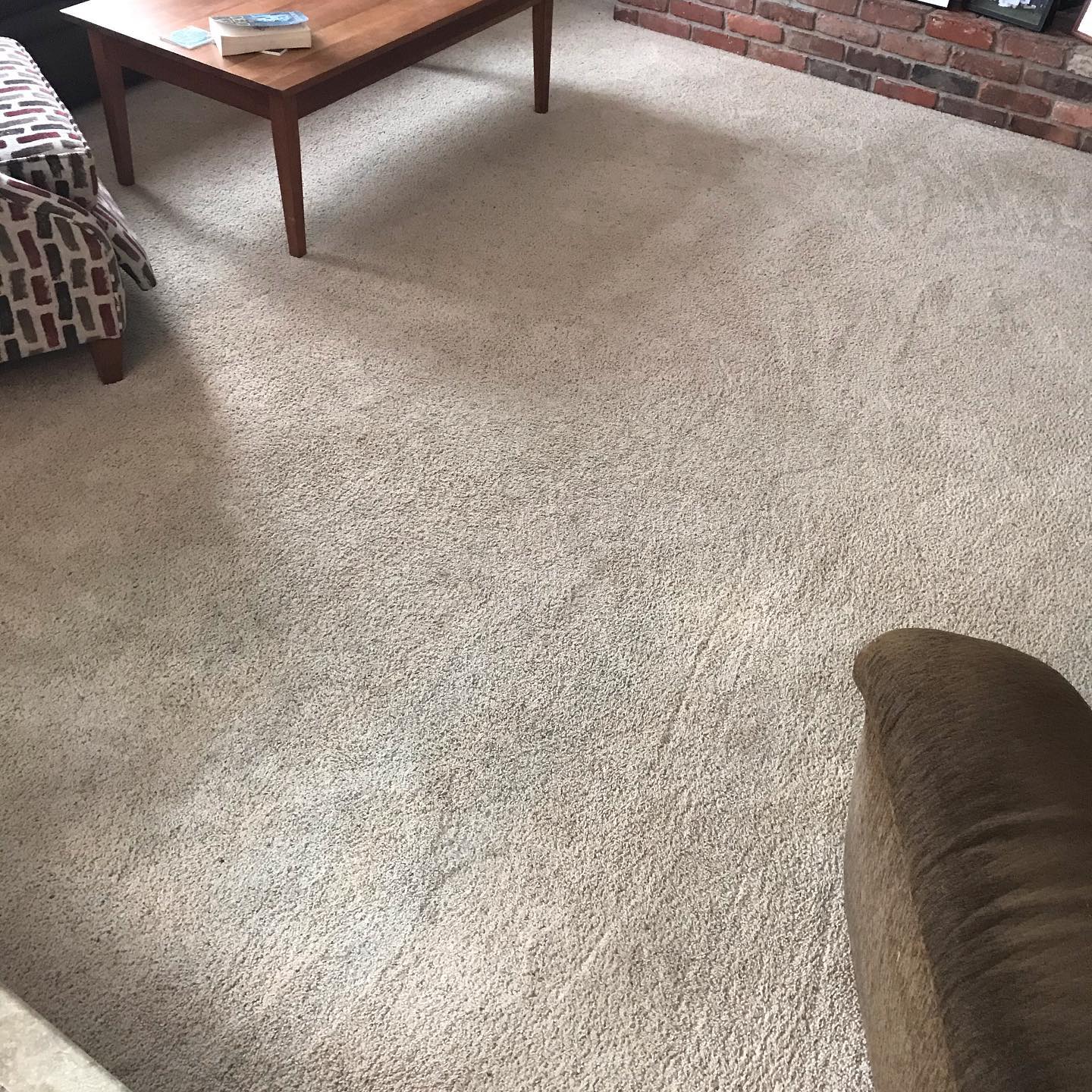 Pet stain removal + deep-clean in Macedonia, OH