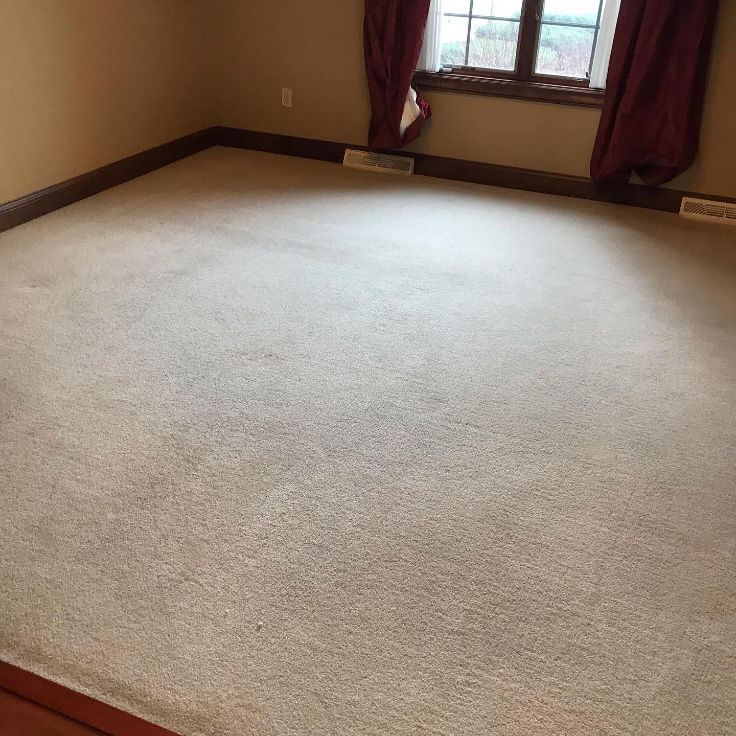 Deep-clean in Fox Meadows!