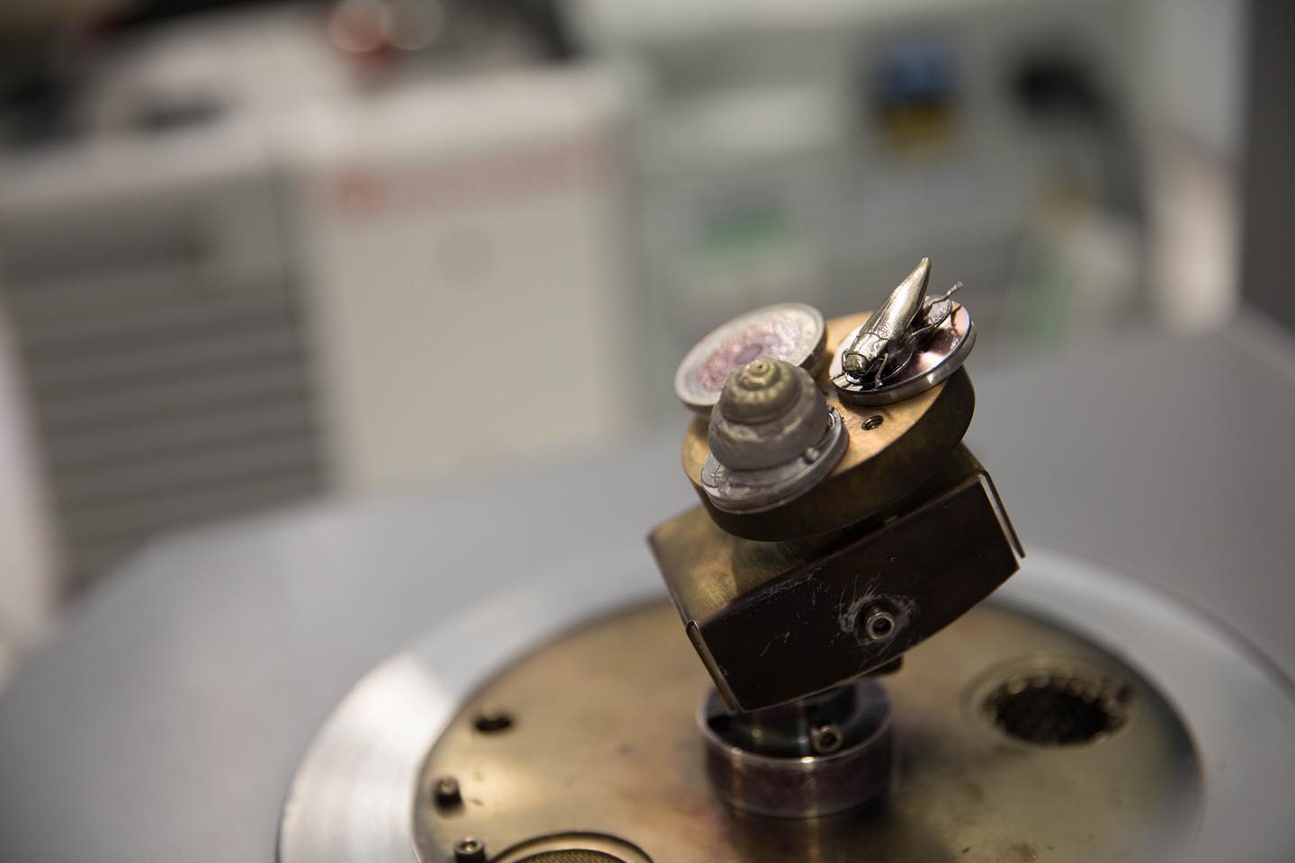 #science #electronmicroscope #laboratory #scienceart #sciencephoto #scientific #scienceweek #research #lab #micro #microscope #microscopy #medicine #medicalsciencestudent #medicalstudent #macrophotography #mineralomics #bio #biology #bioimaging #biologylab #minerals #chemistry #material #engineering #physics #sciencecommunication #ucl #Mineralomics