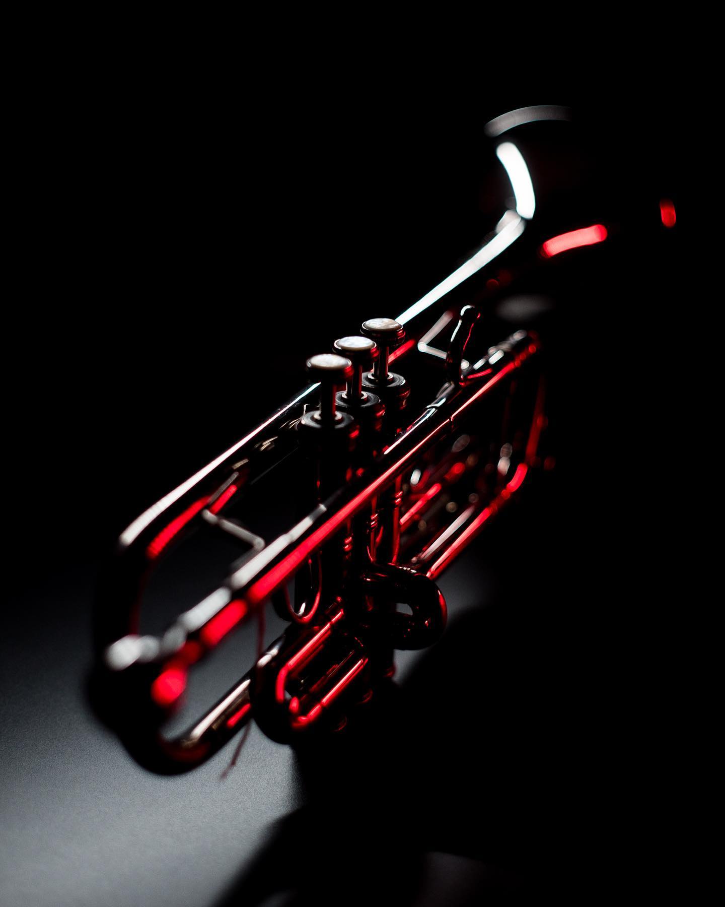 Got some cool shots for a special project. Thank you, @alexander.serio , for lending us this beauty!
#rectoday #videoproduction #trumpet #closelook