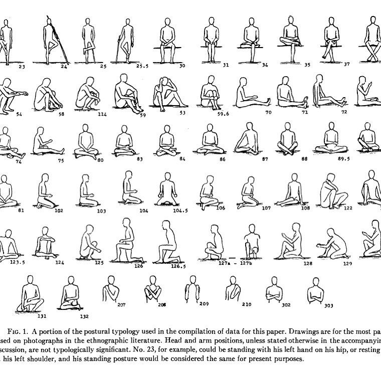 I am hoping that you don’t spend your entire day working at your desk or hunched over your computer. If you do please stop!
In the stuff you do throughout your day I challenge you to get closer to the floor. Reading, watching tv, playing with your kids or your dogs 🐕 , anything at all that you might do sitting in a chair try getting down on the floor. Oh and of course working on your laptop.
Use this poster developed by scientist and anthropologist Gordon W. Hewes (1917-1997). There are about 40 odd different ways to sit on the floor. Try some today.
#losethechair
#workfromhome
#changepositions
#justmove
#goodhealthrequiresmovement
#moveeverydamnday
#getclosertotheground
