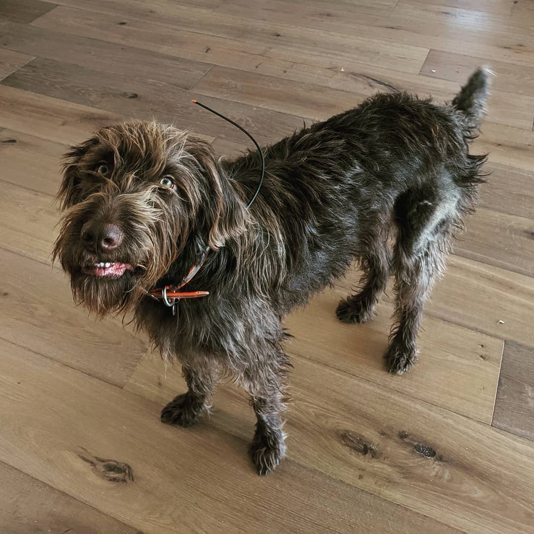 Gitta gives her smile of approval on current state