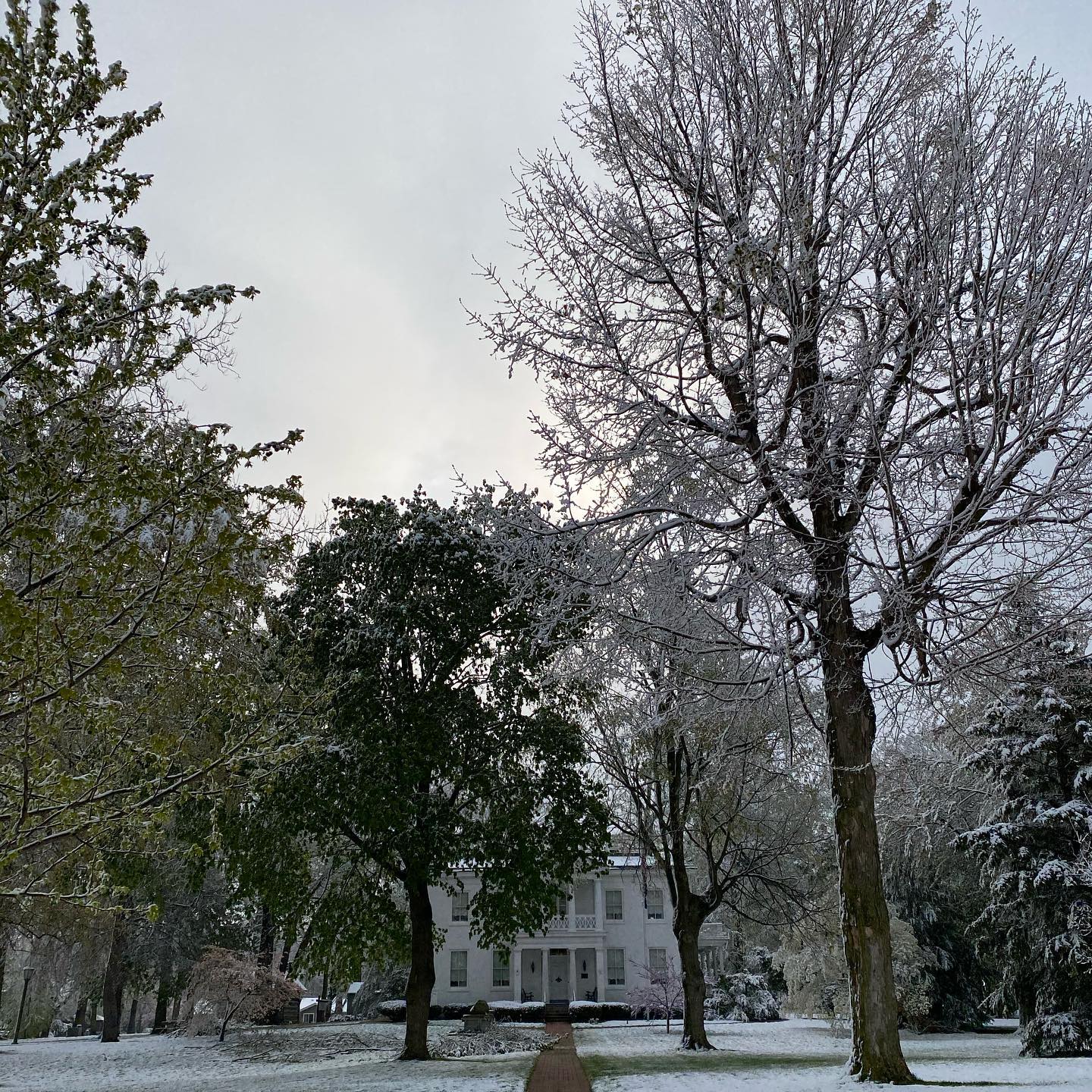 What an unusual April day here at Lane Place! ❄️🌷
#mchs #uniquelymoco #laneplace #historichomes #aprilsnow #snow #spring #flowers #springsnow #crazyweather #crawfordsvillein #crawfordsvilleindiana #museum