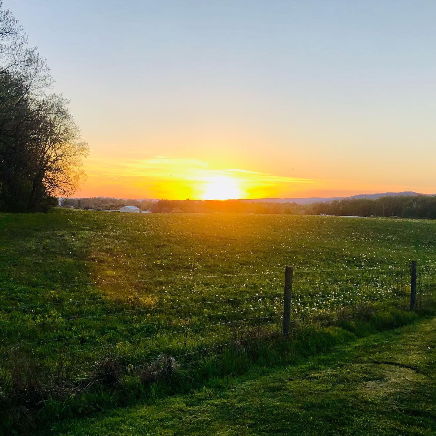 It was a sunset moonrise kinda ride tonight…🚴🏻♀️🌝
Within 15 minutes of looking back to notice the fiery orange ball dropping, I came up a hill and around a bend and saw a golden egg shaped moon beaming in brilliance!
Normally I don’t get off the bike to take photos…
Often I don’t see the glistening moment in front of me – the way the fading light shimmers on the newly poof-ed dandelions…perhaps because I’m lost in thought, focused on keeping a cadence, or tuned into some thought provoking podcast.
Other times I DO notice and don’t stop…
This evening’s sights were possible because I was in motion, shifting from one amazing lit up field and “farewell” to the day…to the next open field greeting the night.
It made me consider my good fortune in being present for both moments…simply because I was present while in motion…AND in the right place at the right time…
💫 How do we show up and TAKE IN THE MOMENT, while not being attached to an outcome or expectation?
💫 What might we experience by instead letting the moment shift and change like a kaleidoscope that, if we are present, TAKES US IN?
Would love to hear about a special moment you’ve taken in recently…or a moment THAT HAS TAKEN YOU…☺️
#presence #fullmoons #transitions #unattachedtotheoutcome
#leadingthroughchange #present #mindfulness #moonrise #sunsetlover #payingattention