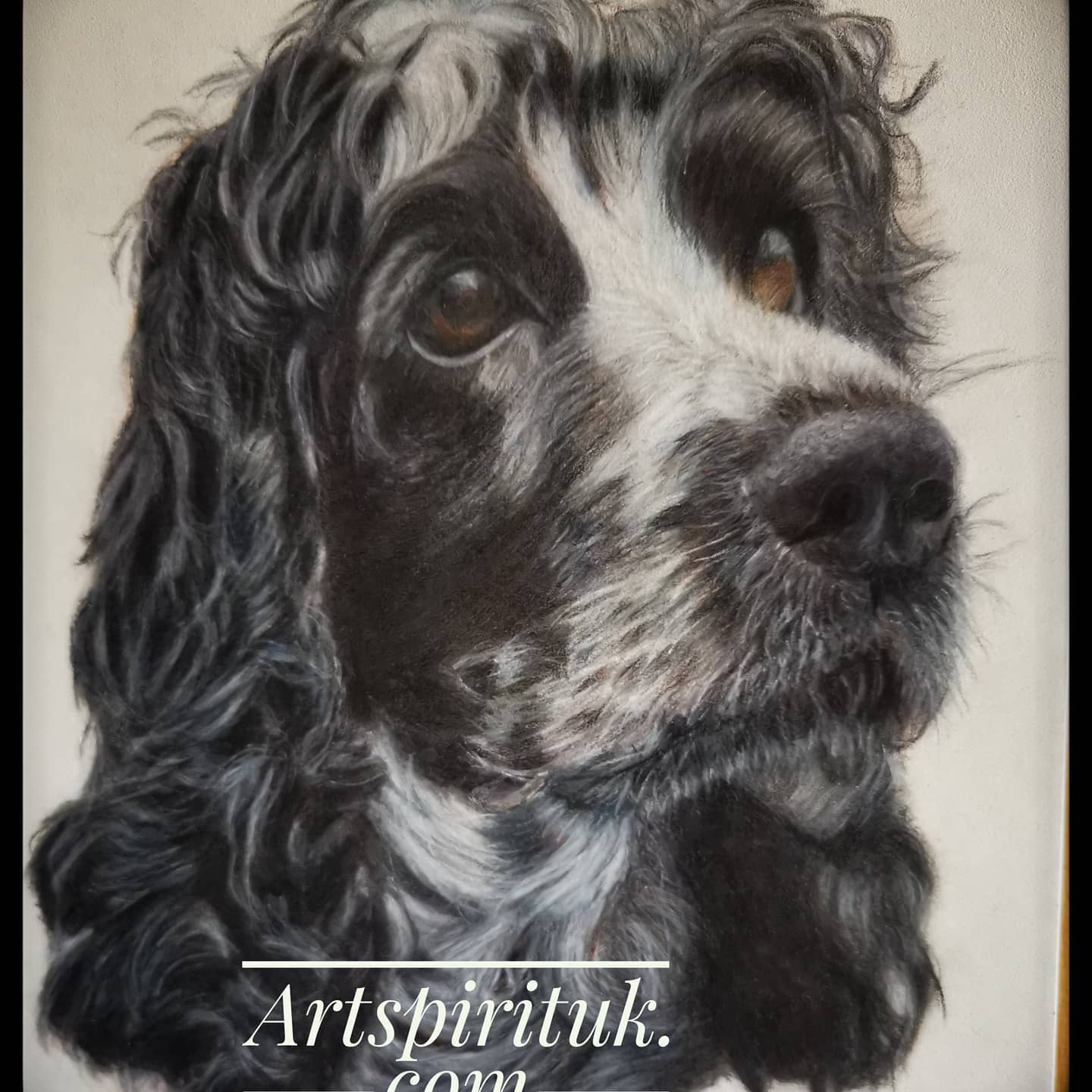 Here is my new colour pencil portrait on pastelmat. 9x13inch. Hope you all like it. 😊😊