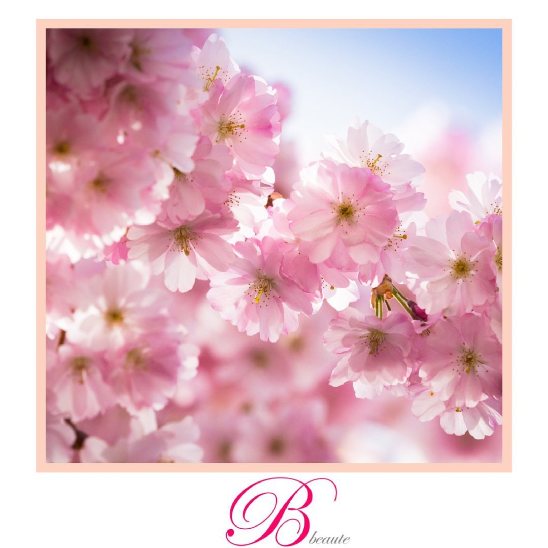 P R I N T E M P S
.
.
.
.
#institutbbeaute #bbeaute #printemps #fleur #femme #beauté #calme #amour #libre #vert #paysage #institut #esthétique