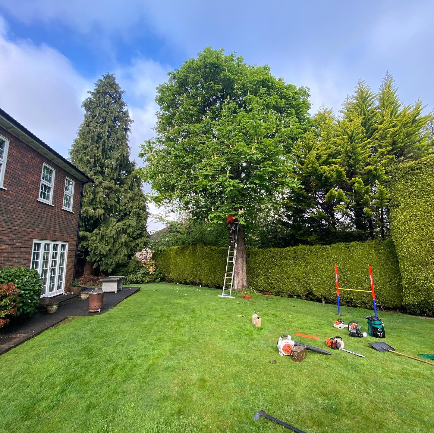 Palmers Tree Care & Management.
A rather large horse chestnut fell from yesterday, just under two loads of timber came off this fella.
Tree work undertaken on all size trees, please get in touch for a free no obligation quote.