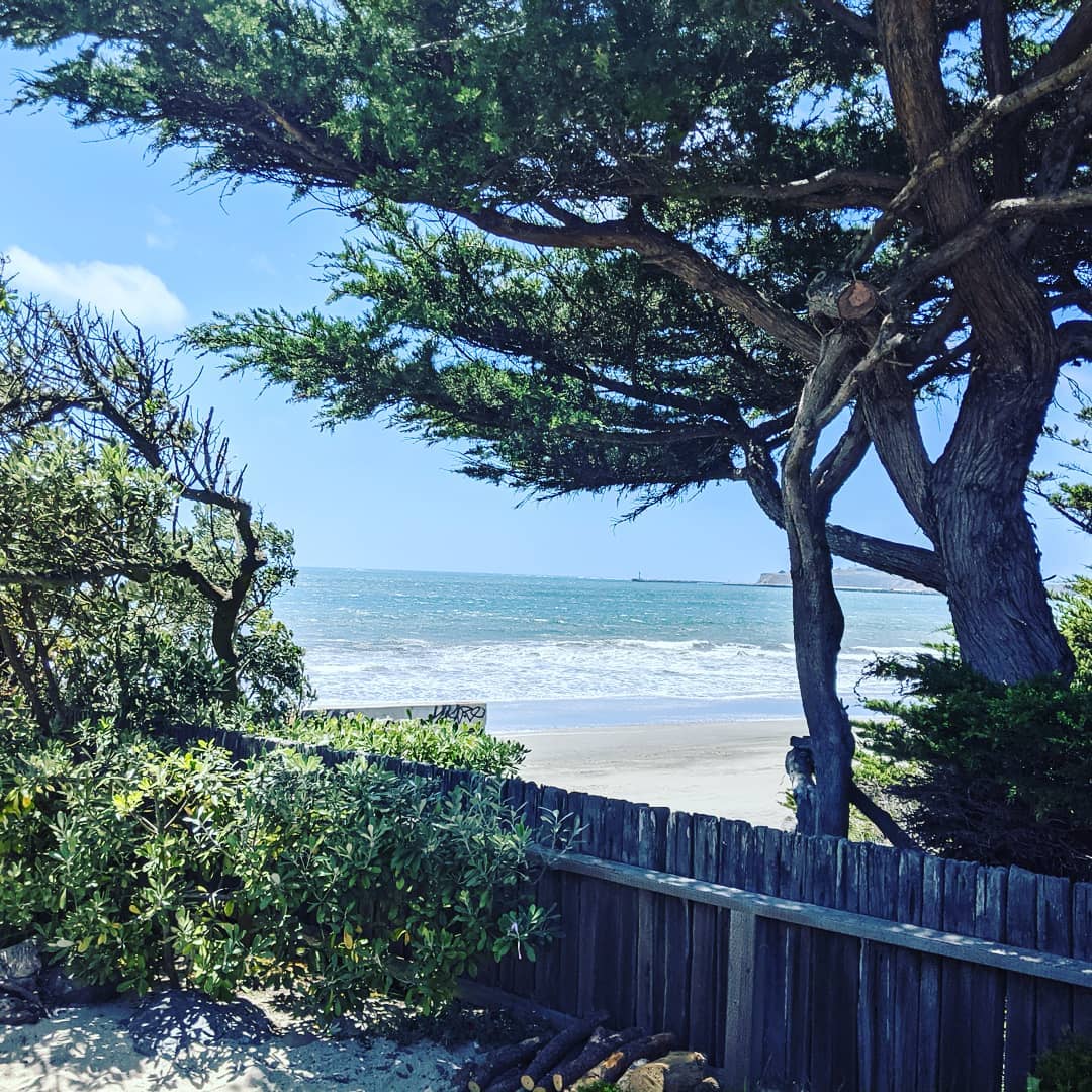 Congrats to Devoni and Jose!! Even with the wind, a gorgeous occasion in Half Moon Bay.