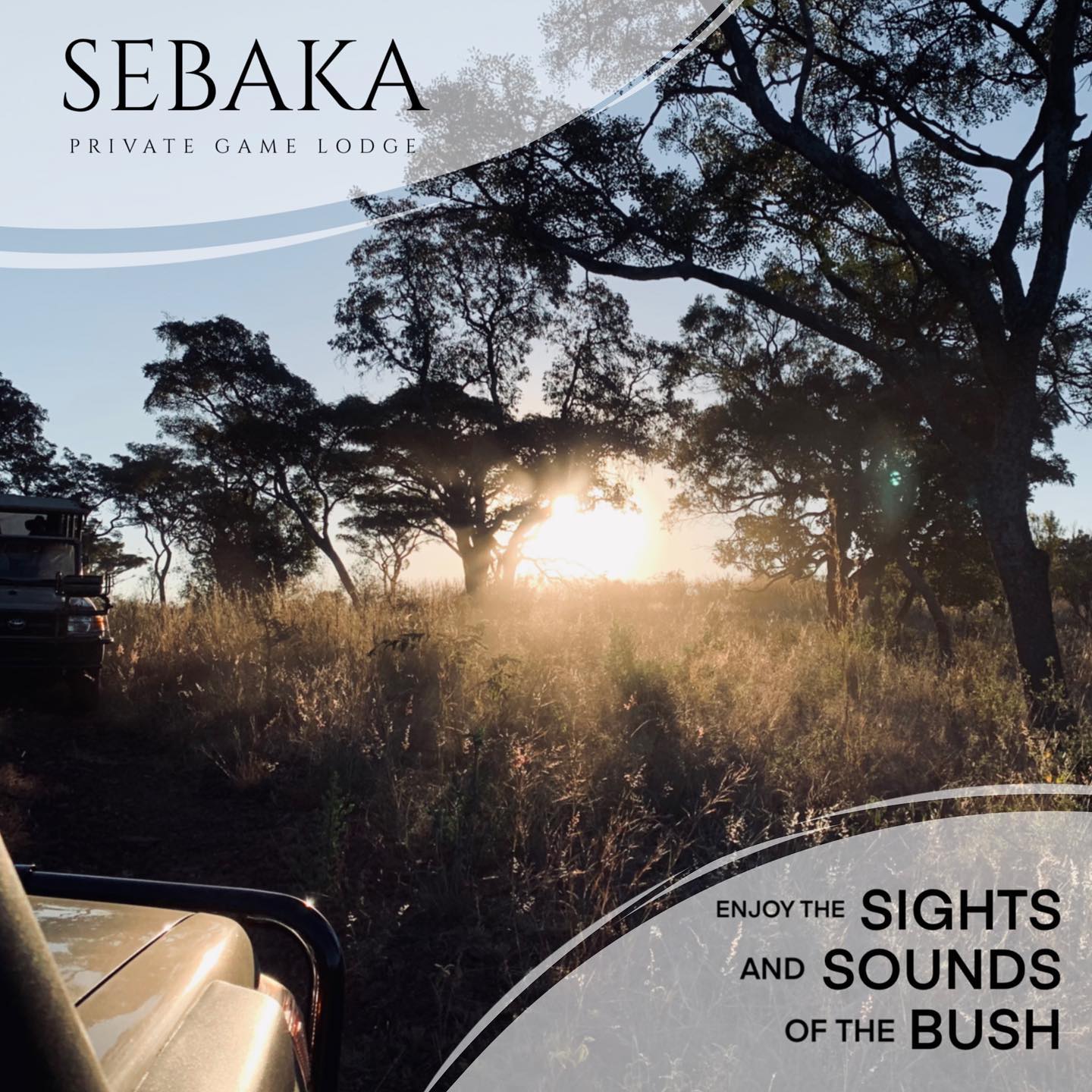 An early morning walk is a blessing for the whole day... 🍃