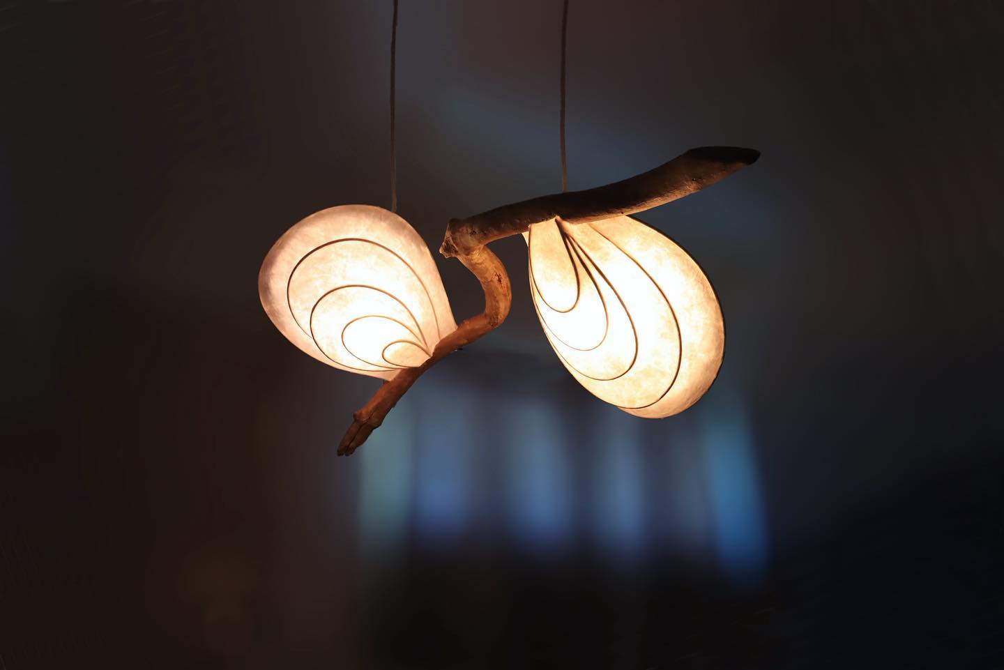 The beauty of light owes its existence to the dark.
#light #lights #lighting #pendentlights #paperlight #paperlighting #papersculpture #papersculptureart #papersculptures #sculptureart #sculpturelight #interiordesign #interiordecorating #homedecor #homedecorideas #archdaily #architecture #architecturelovers #lightwork #handmadelighting #sustainablelighting #sustainablelight #etsy #lightandshadow #etsyindia #handmadelamp #handmadelamp #sustainableliving #sustainability #interiors #pendentlights