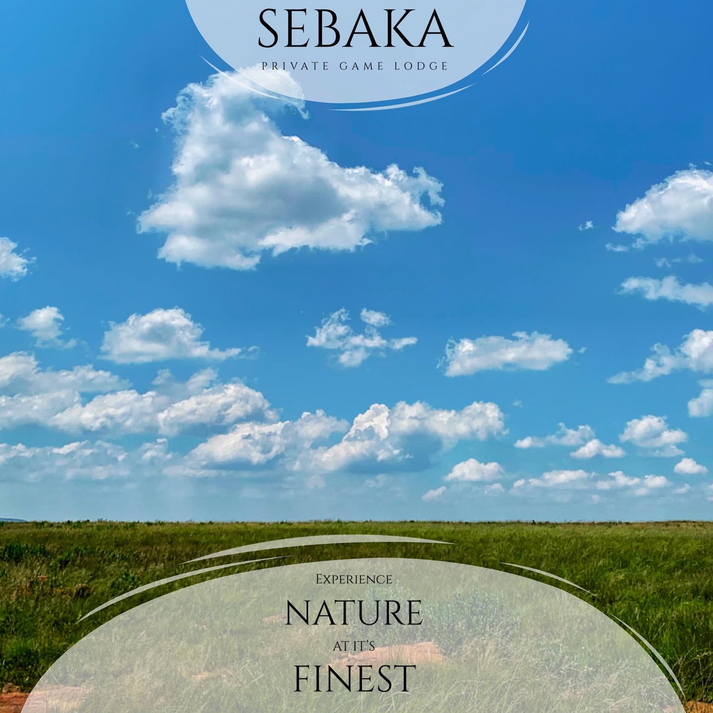 We all need something to look forward to right?
A Fully Halaal Game Lodge Situated In
Mpumalanga
Visit Our website www.sebakalodge.com for more information.
Check out our story for specials and updates.
#narture
#experienceafrica
#bushlife