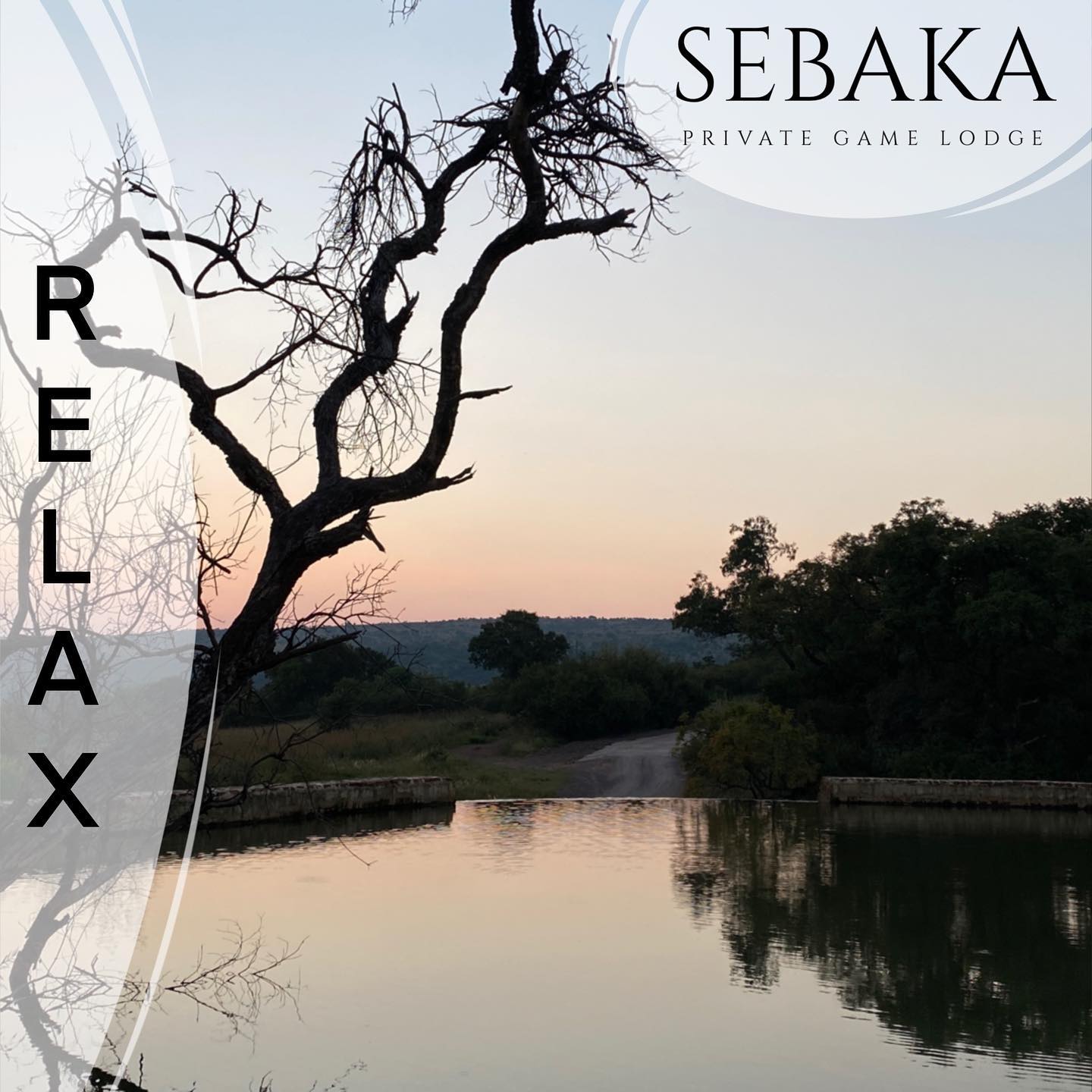 “ There is nothing more musical than a sunset”
#sunsetsafari
#sunsetlover
#sebakaprivategamelodge