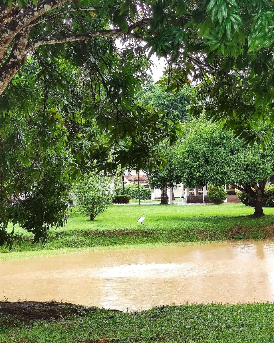 👉En casa Muner podrás tener una conexión cercana con la naturaleza.
🌄Ven a disfrutar nuestra casa el próximo fin de semana.
😎Haz tu reserva al 3145973094 o en www.muner.com.co
.
#muner #tolima #casamuner #casaparaalquilar #casaparaalquilarenmelgar #melgar #casasenmelgar #lagomelgar #condominioelruby #elrubycountryclub #elrubyMelgar #vacaciones #vacacionesenfamilia #vacacionesenmelgar #colombia