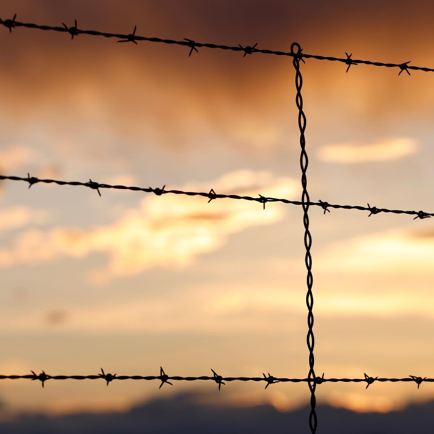 “What’s holding you back is the thought of something holding you back.” Ralph Marston