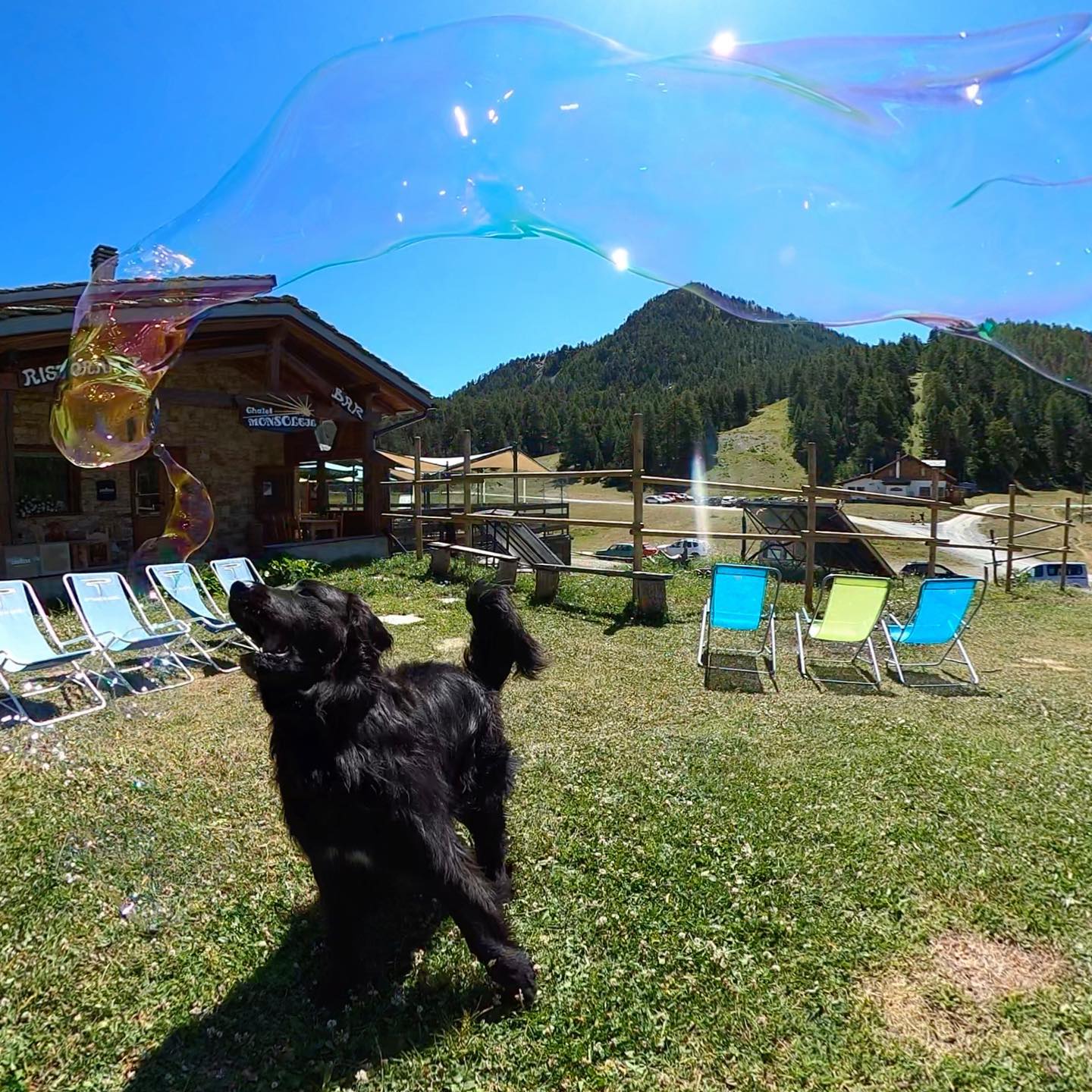 🎈Si riparte🎈!!!
Con l’arrivo della stagione estiva saremo aperti tutti i week end a partire da sabato 29 Maggio (dalle ore 9 alle ore 17), preferibilmente su prenotazione!
🥁 Vi Aspettiamo 🥁 #openup #staytuned #chaletmonsoleil #claviere #turismovialattea #visitclaviere #alps #italy #mountainlovers #mountain #summer #estate #italianfood #simplepleasures