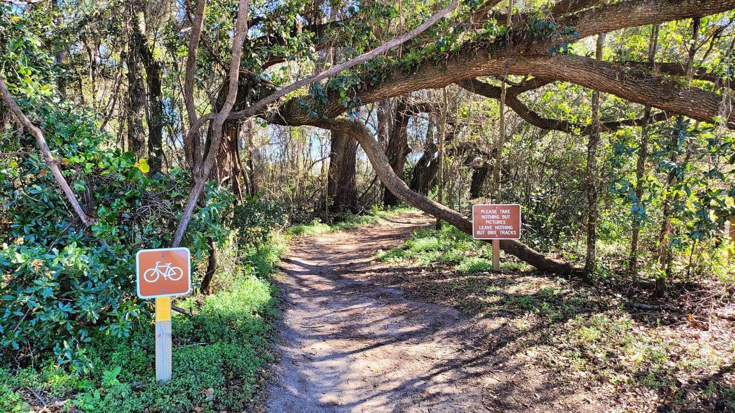 Take the (Bike) road less traveled!
Starting his own business repairing and selling refurbished bicycles is definitely a different path than many of Derekās peers have taken - most definitely one that required a lot of bravery and strength! However, Derek couldnāt be happier with the rode he chose to take.
Following your dreams & doing something you love really IS something to strive for! š We hope you all have a beautiful week while doing just THAT!