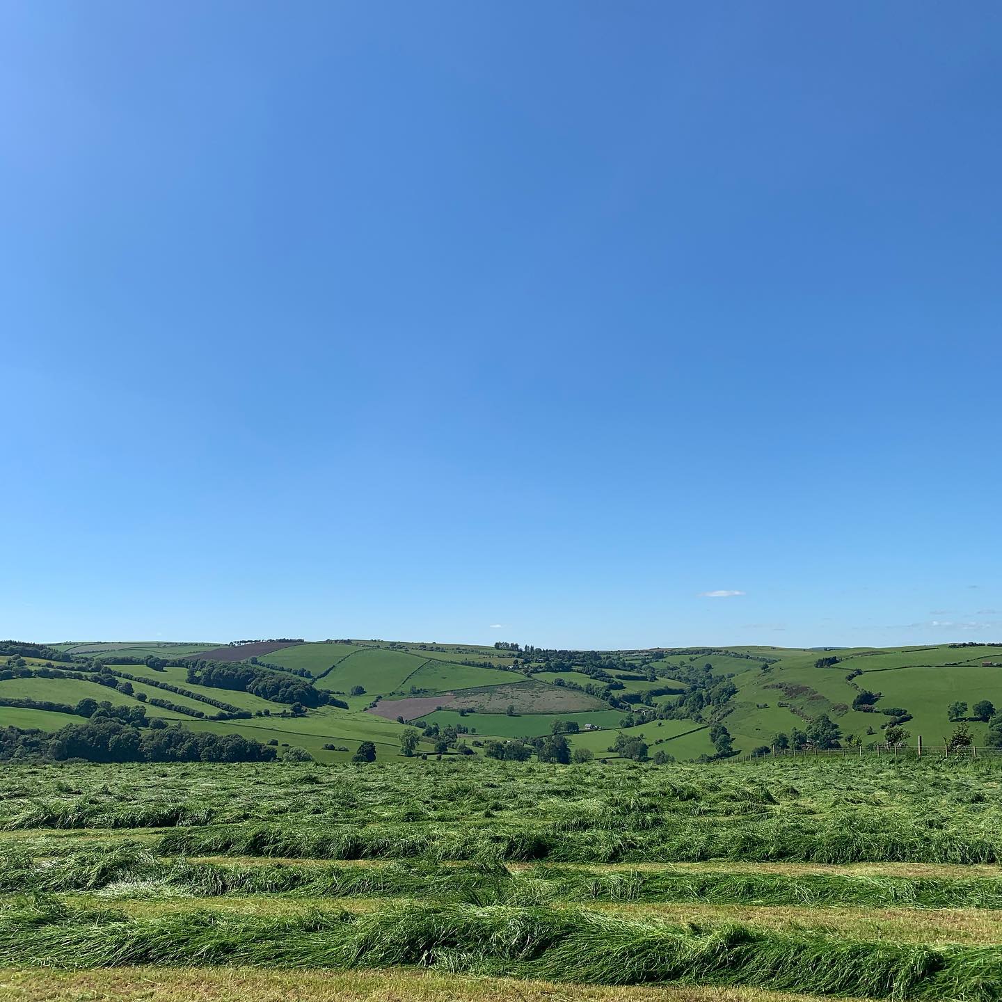 These views 😍
We’re so lucky to be surrounded by such incredible views in mid Wales.
This is the view from the Offa’s Dyke Path, above the town of Knighton and just a few miles from The Stables.
#views #midwales #theseviews #offasdyke #offasdykepath #knighton #powys #walking #walkingholiday #stayinwales #stayinmidwales #visitwales #midwalesmyway #countryside #countryviews @offasdykepath @visitknighton