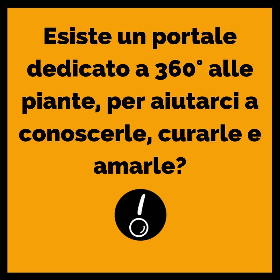 Scopri la tua passione per le piante! Con @yougardener amarle e curarle sarà semplicissimo! > www.blimey.space/dettagli/yougardener
.
PERCHÉ È BLIMEY?!
.
“Viviamo nel secolo delle piante. Un tempo in cui il benessere della nostra specie tornerà sempre più a dipendere dalla nostra capacità di conoscere, usare e amare le piante. Questo è Yougardener.” Ci sono bastate poche parole per cogliere appieno il valore di un progetto come Yougardener. Yougardener ti darà la possibilità di conoscere e apprezzare la bellezza delle piante grazie alle differenti guide presenti sul sito che ti aiuteranno a diventare un vero pollice verde… o magari semplicemente ad appassionarti al giardinaggio! I consigli sono innumerevoli e spaziano dalla progettazione del tuo giardino, alle pillole su come salvaguardare e valorizzare al meglio il tuo verde, fino ai principi di botanica per i più accademici! Ma non è tutto qui, con Yougardener il tuo prossimo giardino è davvero “a portata di click”! Yougardener è infatti il vivaio digitale più grande d’italia, potrai acquistare dai migliori vivai italiani direttamente sul sito, sarai guidato nella scelta delle tue piante o fiori considerandone caratteristiche e bisogni. Yougardener non è una semplice seppure utilissima e comoda startup sul giardinaggio, è un progetto che racchiude in sé passione e anima ed è ciò che prova a veicolare agli utenti attraverso la propria piattaforma, e proprio per questo è Blimey!
#piante #fiori #flowerlovers #polliceverde #besmart #beblimers