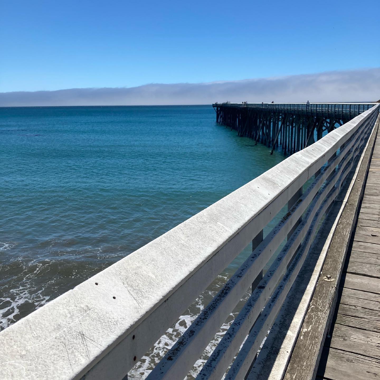 Took a drive along the beautiful central California coast!!
#elephantseals #sansimeon #california #morrobay #visitcalifornia