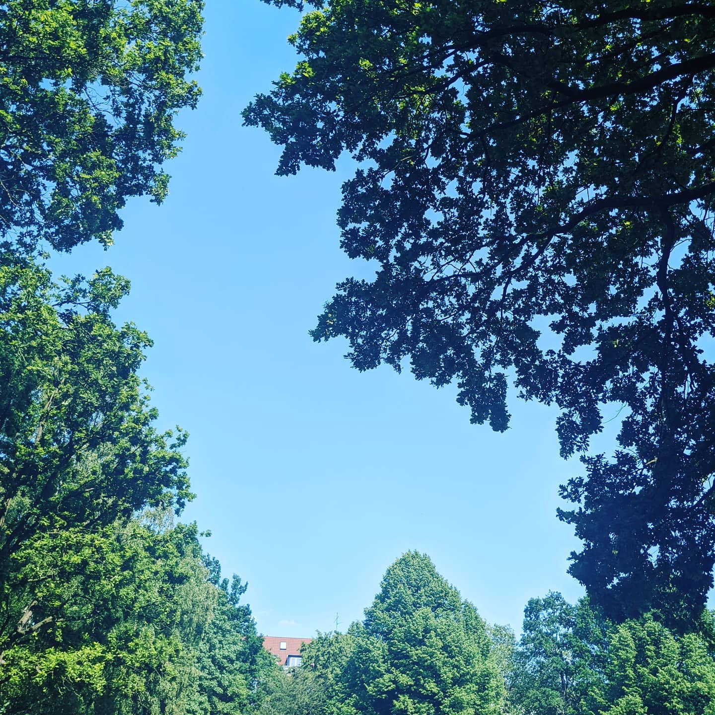 Sommer, Sonne, Sommerakademie!
Wir starten am diesem Wochenende ins erste Sommercamp in dieser Saison, tolle Teams erwarten euch in 6 Regionen..
Für #dortmund #koblenz und #münchen sind noch Plätze frei!
Informier dich und starte in deine Zukunft!
#phasebe #zukunft #trotzcorona
#endlichwiederanalog#sommercamp #erfahrung #motivation #team #gemeinschaft #selbstvertrauen #bewerbung #
#motivierenstärkenorientieren #berufsorientierung #bildungheisstentwicklung #phasebe #jugendliche #sommer #abschluss #ausbildung #coaching #musical