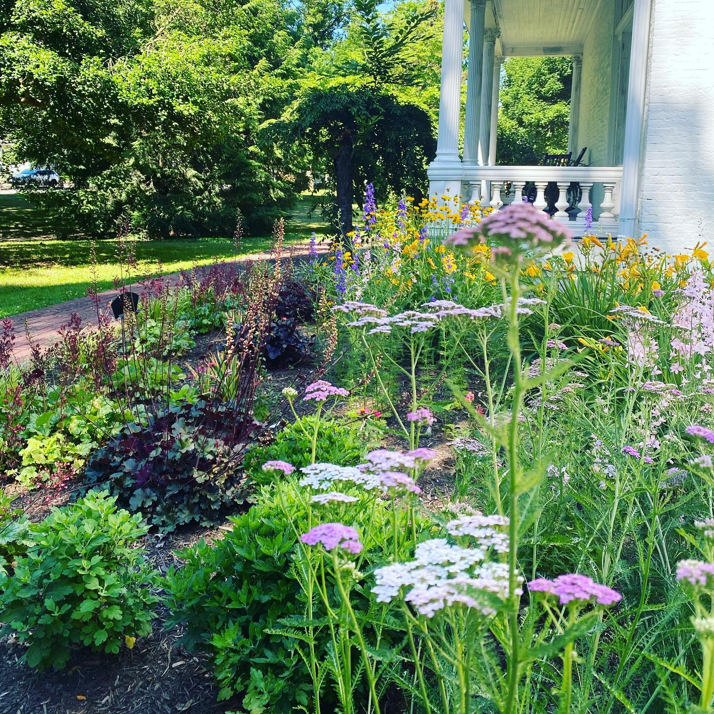What a difference a month makes! Our garden has really bloomed in the past few weeks. Full of beautiful blooms and lovely little pollinators 🌸🐝
#laneplace #uniquelymoco #crawfordsvilleindiana #historichomes #garden #victoriangarden #flowers #summer