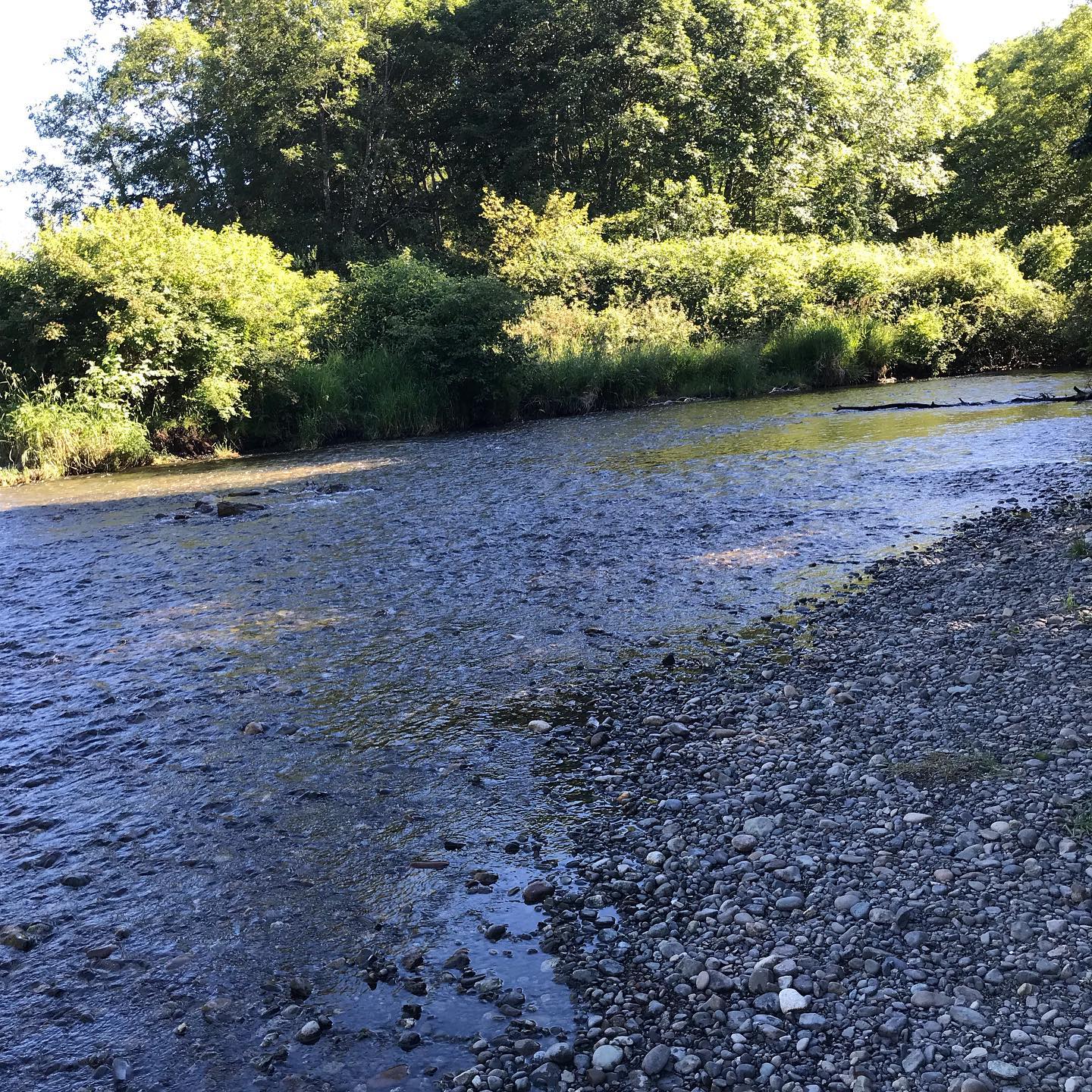 Nothing like Tubing on the Puntledge River on a HOT day 🤟 How are you keeping cool today? #puntledgervcampground #bestplacetocamp #rivertubing #hotsunnydays #puntledgeriver #comoxvalley