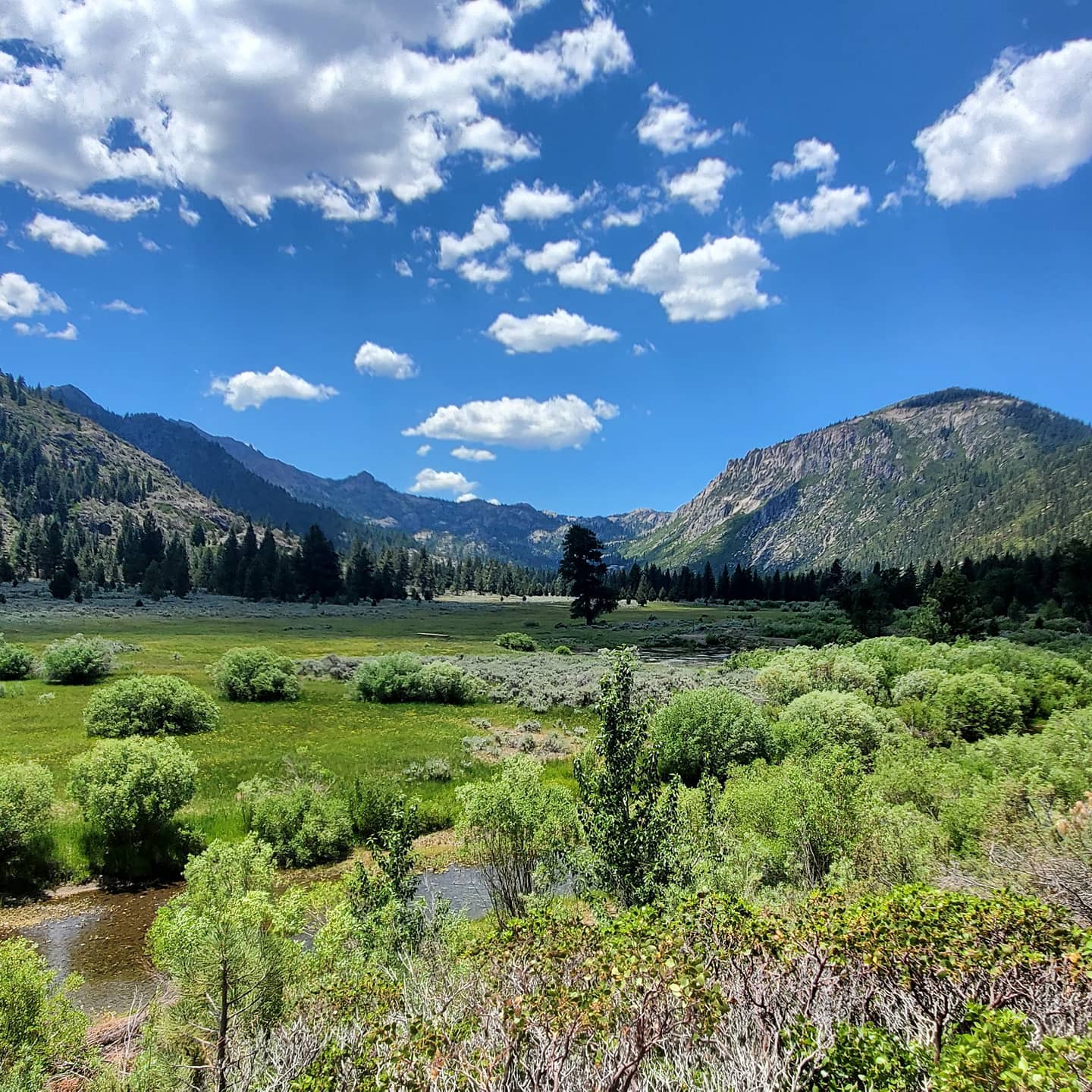 This is just to beautiful not to share, enjoy😎.
We have the privilege to work in one of the most beautiful places. Thanks to Sierra Stainable Builders for including us on this project. More to come we're only just getting started.