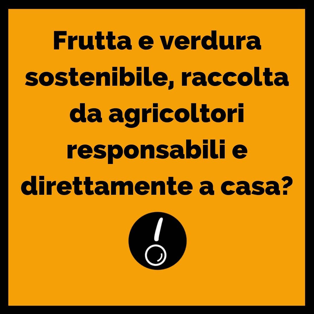 Youfarmer, l'orto bio a casa tua!! 🥑🍓🍑🥬🍅🍋
www.blimey.space/dettagli/youfarmer
.
PERCHÉ È BLIMEY?
.
Scegliere Youfarmer significa avere l’ambizione di lasciare il segno. Youfarmer non è solamente il servizio innovativo che dà a ciascuno la possibilità di coltivare un proprio orto e gustare prodotti a km0, tracciabili e di agricoltura biologica. Youfarmer è prima di tutto una comunità di persone, consumatori e produttori locali, che credono in un approccio diverso all’alimentazione e alla vita, più sostenibile, più attenta alla qualità della materia prima ma anche alla sostenibilità di chi, con cura e attenzione, coltiva e fa crescere le nostre eccellenze gastronomiche. Scegliere Youfarmer significa prendere una posizione ben chiara: voler dare il proprio contributo per un futuro differente e lontano da ritmi esasperati e da un consumo il più delle volte frenetico. Vuol dire saper scegliere un approccio sociale e sostenibile al consumo e all’alimentazione, significa essere promotori dei nostri agricoltori locali che fanno della qualità della produzione un must. Con il tuo contributo campagne e città saranno un po’ meno lontane e la ricezione delle tue cassette ti avvicinerà a una dimensione bucolica che tutti insieme possiamo forse recuperare, diventando promotori di uno stile di vita diverso o semplicemente più attento a sé stessi e alla propria comunità
#orto #frutta #verdure #bio #delivery #besmart #sosteniblità