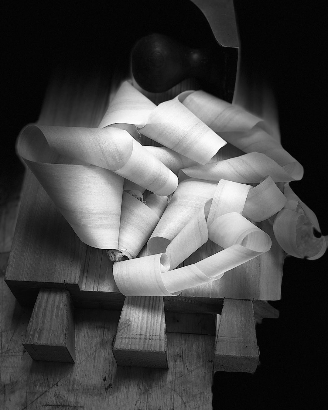 Beautiful larch shavings and a dovetailed frame head #sharp #siberianlarch #woodwork #woodwork@essex #joinery #dovetails