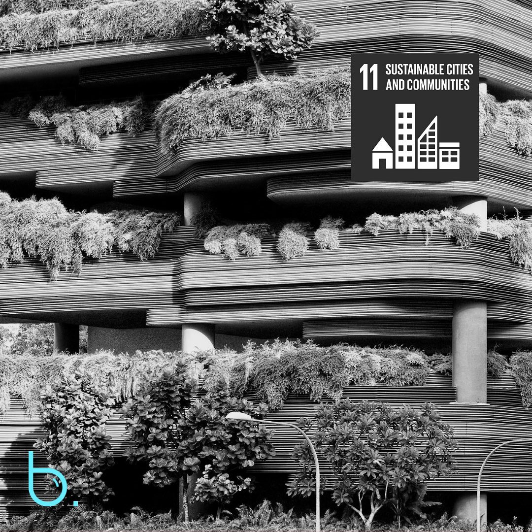 UN SDG 11: SUSTAINABLE CITIES AND COMMUNITIES
UN SDG 11 aims to make cities and human settlements inclusive, safe, resilient and sustainable
What can you do?
- Learn about and take part, in local decisions
- Prepare for emergencies
- Get to know your neighbors and welcome new people
- Protect local tress, wildlife, and natural areas
- Demand safe and good quality public transport
These are the TEN targets to create action to REDUCE THE NUMBER OF PEOPLE LIVING IN SLUMS AND URBAN POLLUTION
.1. SAFE AND AFFORDABLE HOUSING
11.2 AFFORDABLE AND SUSTAINABLE TRANSPORT SYSTEMS
11.3 INCLUSIVE AND SUSTAINABLE URBANIZATION
11.4 PROTECT THE WORLD'S CULTURAL AND NATURAL HERITAGE
11.5 REDUCE THE ADVERSE EFFECTS OF NATURAL DISASTERS
11.6 REDUCE THE ENVIRONMENTAL IMPACT OF CITIES
11.7 PROVIDE ACCESS TO SAFE AND INCLUSIVE GREEN AND PUBLIC SPACES
11.A STRONG NATIONAL AND REGIONAL DEVELOPMENT PLANNING
11.B IMPLEMENT POLICIES FOR INCLUSION, RESOURCE EFFICIENCY, AND DISASTER RISK REDUCTION
11.C SUPPORT LEAST DEVELOPED COUNTRIES IN SUSTAINABLE AND RESILIENT BUILDING
SOURCE: https://www.globalgoals.org/
To learn more about UNSDG11 and the indicators for targets check out the source page or:
https://sdgs.un.org/goals
#socialimpact #unsdgs #sustainabledevelopment #sustainabledevelopmentgoals #sdgs2030
#socialgood #unitednations
#unsdg11 #sustainablecities #sustainablecitiesandcommunities #sustainability #sustainable #sustainablecommunities #sustainableinfrastructure #infrastructure #pollution #protectnature #protectwildlife #urbanpollution