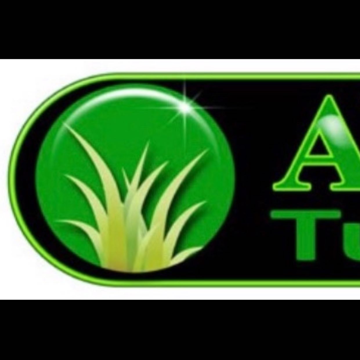 Introducing Awesome Turf Supplies 🍃@awesometurf 🌱🍃#turfsupplies #turf #turfgrass #awesometurf #buffaloturf #lawnporn #kikuyu