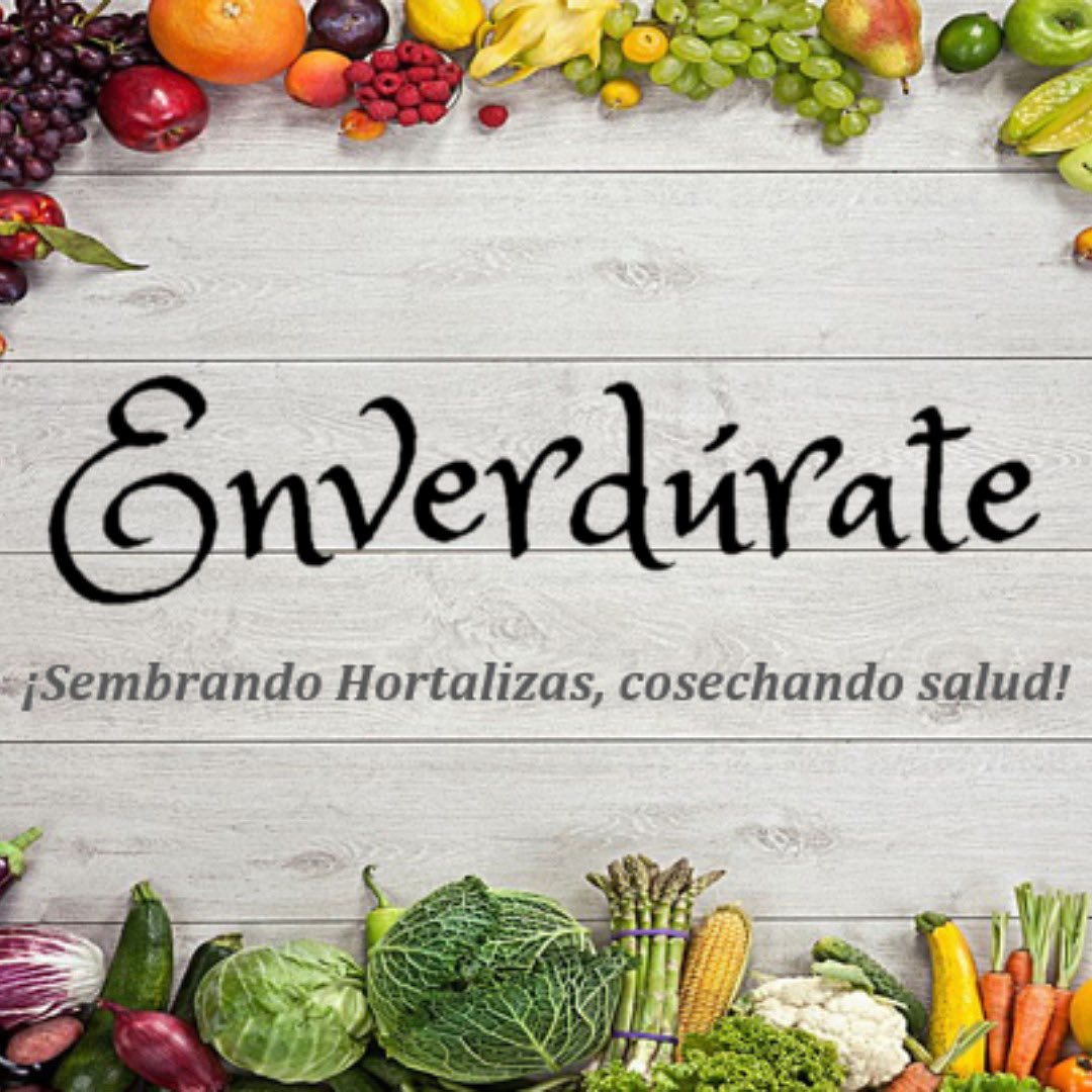 Enverdúrate es un Proyecto de Acción Comunitaria creado como parte de las actividades del 2020 Fellowship en Applied Agroecology implementado por @perucano y respaldado por @mesaprogram.
Enverdúrate se enfoca en la implementación de biohuertos familiares y comunales. Este año, en colaboración con la “Asociación Casa Betania”, que apoya a familias de bajos recursos en San Martín de Porres, se logró su implementación por segunda vez a través de talleres virtuales y visitas de monitoreo que ayudó a los diferentes participantes como la señora Rosa, Irma, Carmen, Lorena y Petit a fortalecer sus conocimientos y mejorar sus espacios para promover entre sus vecinos y familiares una agricultura urbana más saludable y sostenible.
Nos alegra mucho la continuación de Enverdúrate y por ello hoy les compartimos fotos de esta increíble experiencia.
#perucano #ojopercuano #mesaprogram #sageprogram #mesa #sustainableagriculture
